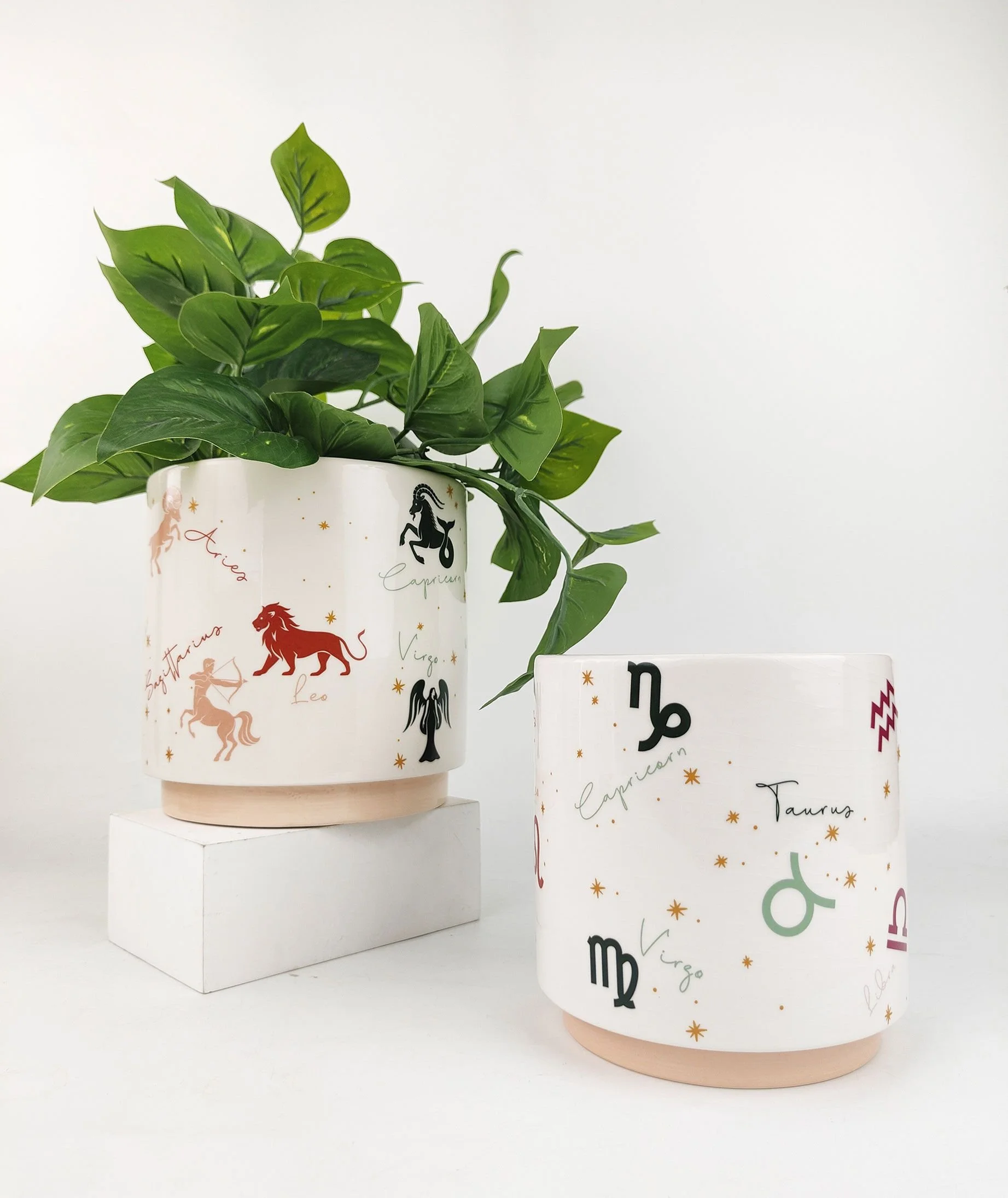 zodiacplanter13cmmain.jpeg (Copy)