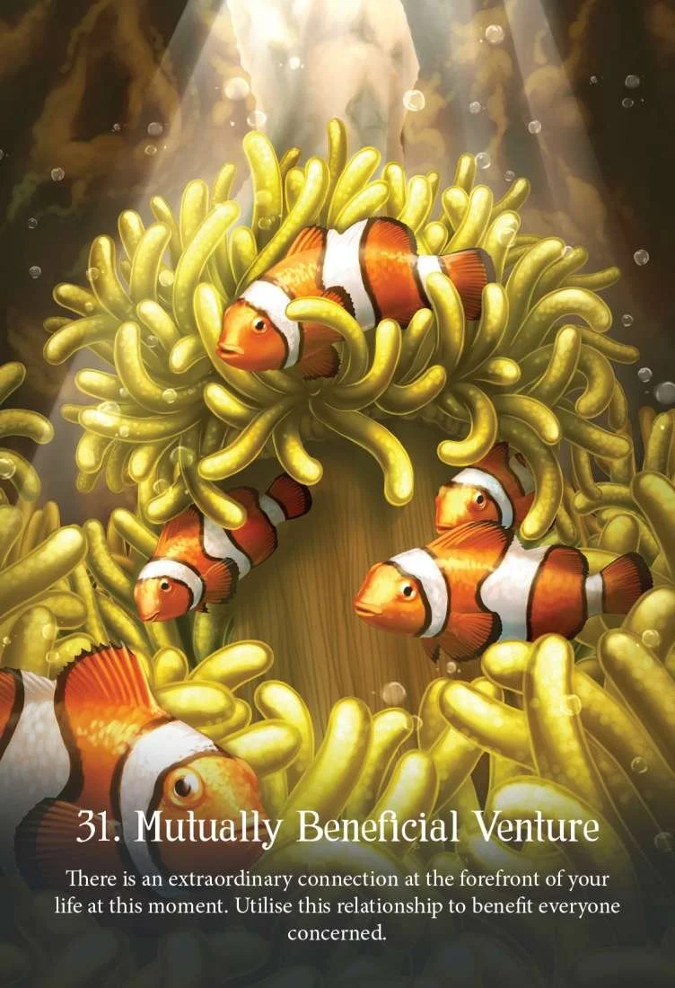 ocean3.jpeg