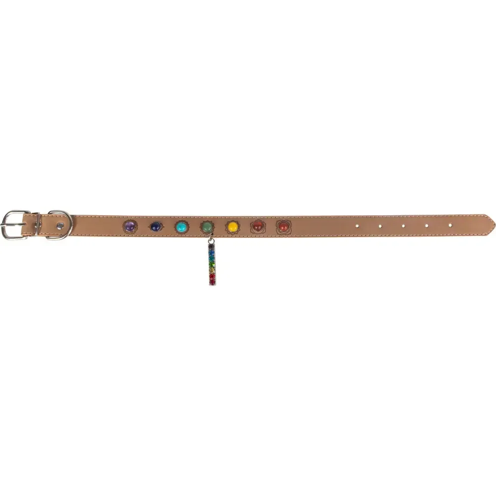 7chakradogcollar3.webp