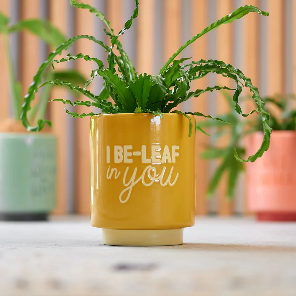 Plant Pot - I Be-leaf in You