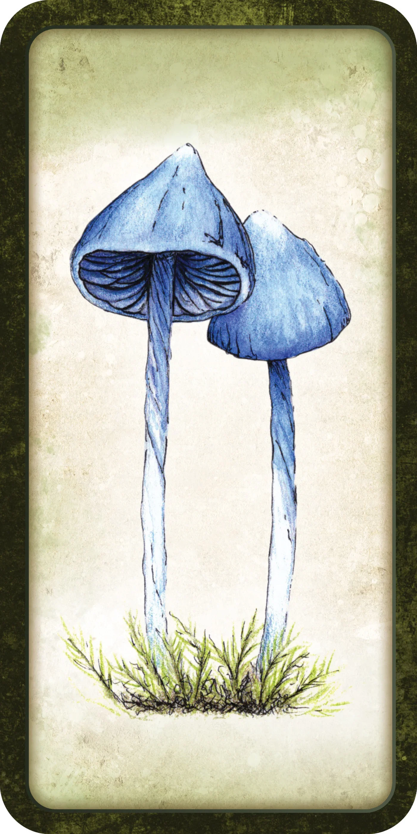 mushroom affirmations6.webp