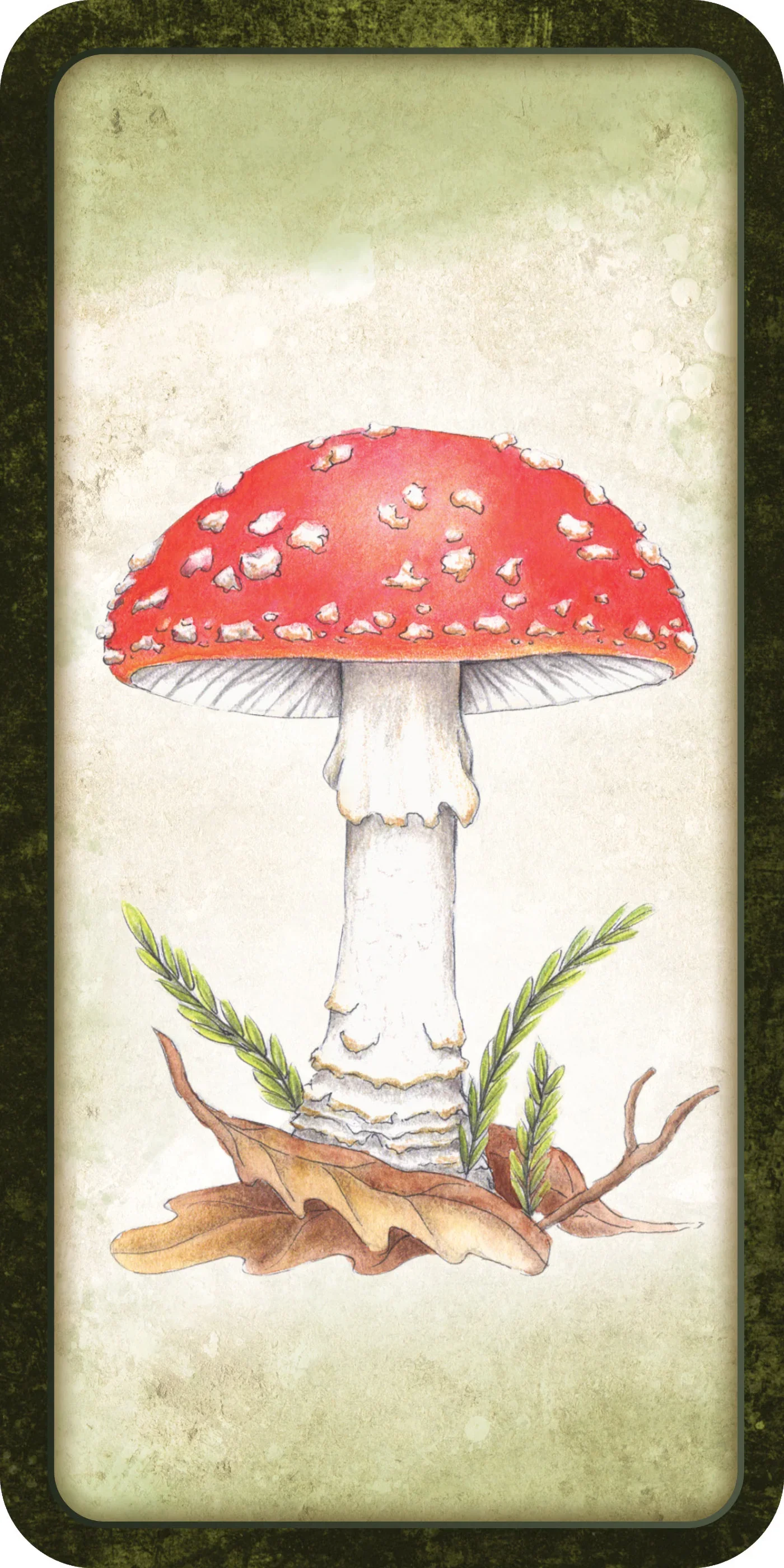 mushroomaffirmations4.webp