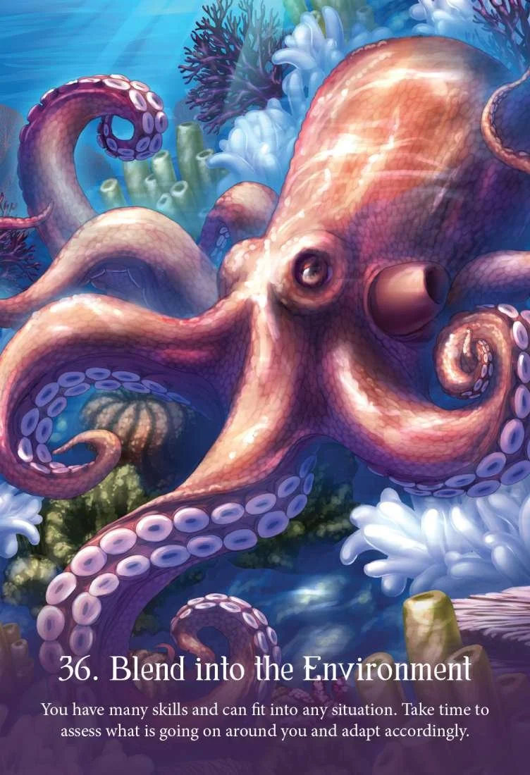 ocean2.jpeg