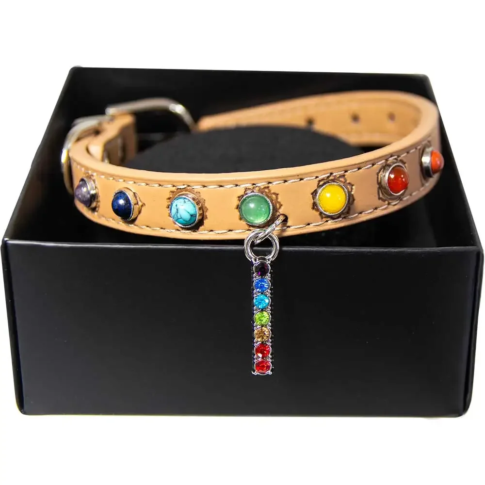 7chakradogcollar2.webp