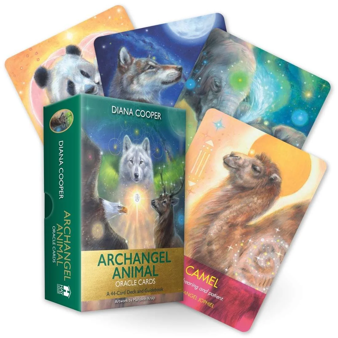 animaloracle.jpeg