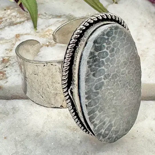 fossilcoralring2.webp