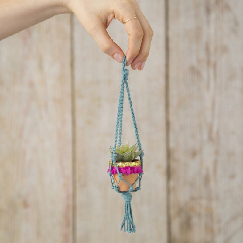 Mini Macrame Succulent