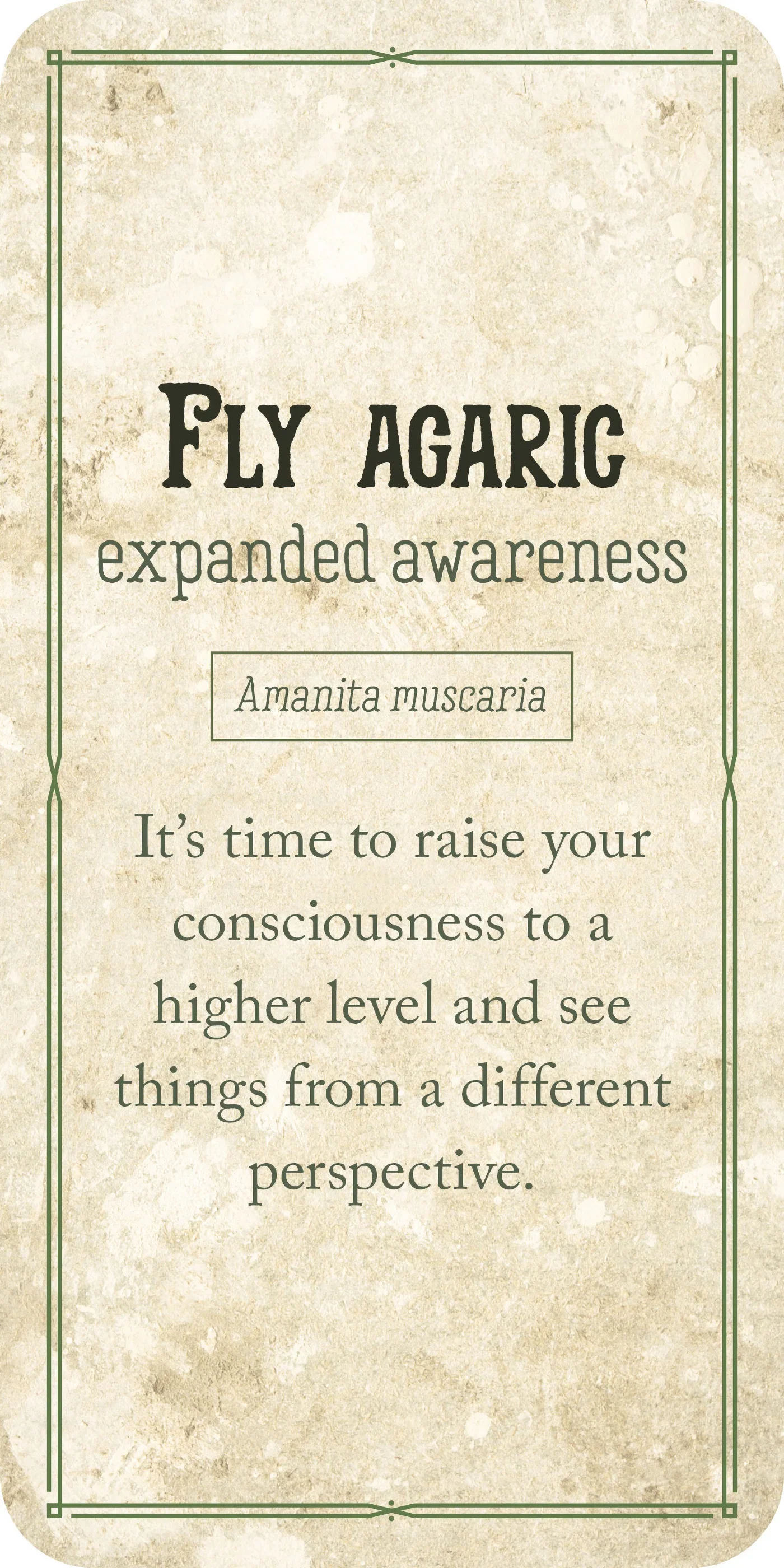 mushroomaffirmations5.webp