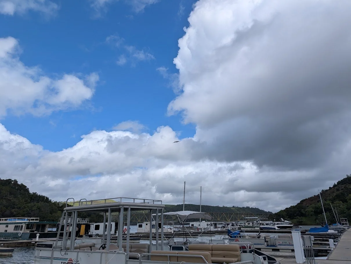 Lake Sonoma Marina