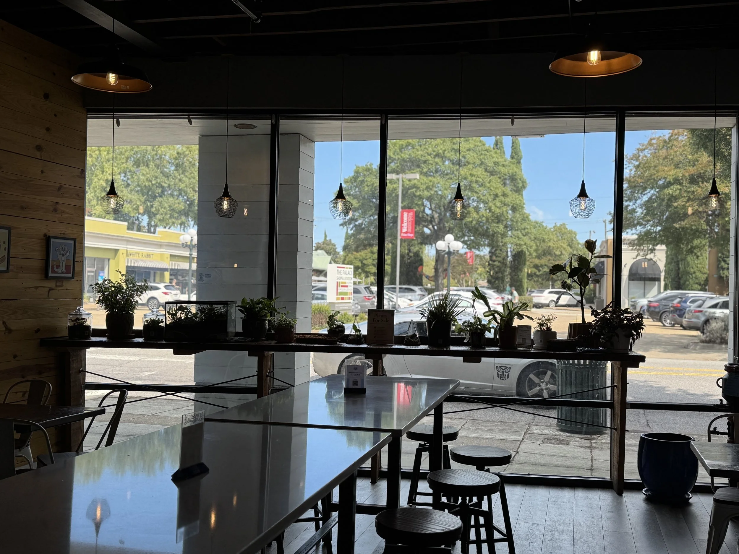 main dining room, window wall, plants for sale, the planter, workshop, decor