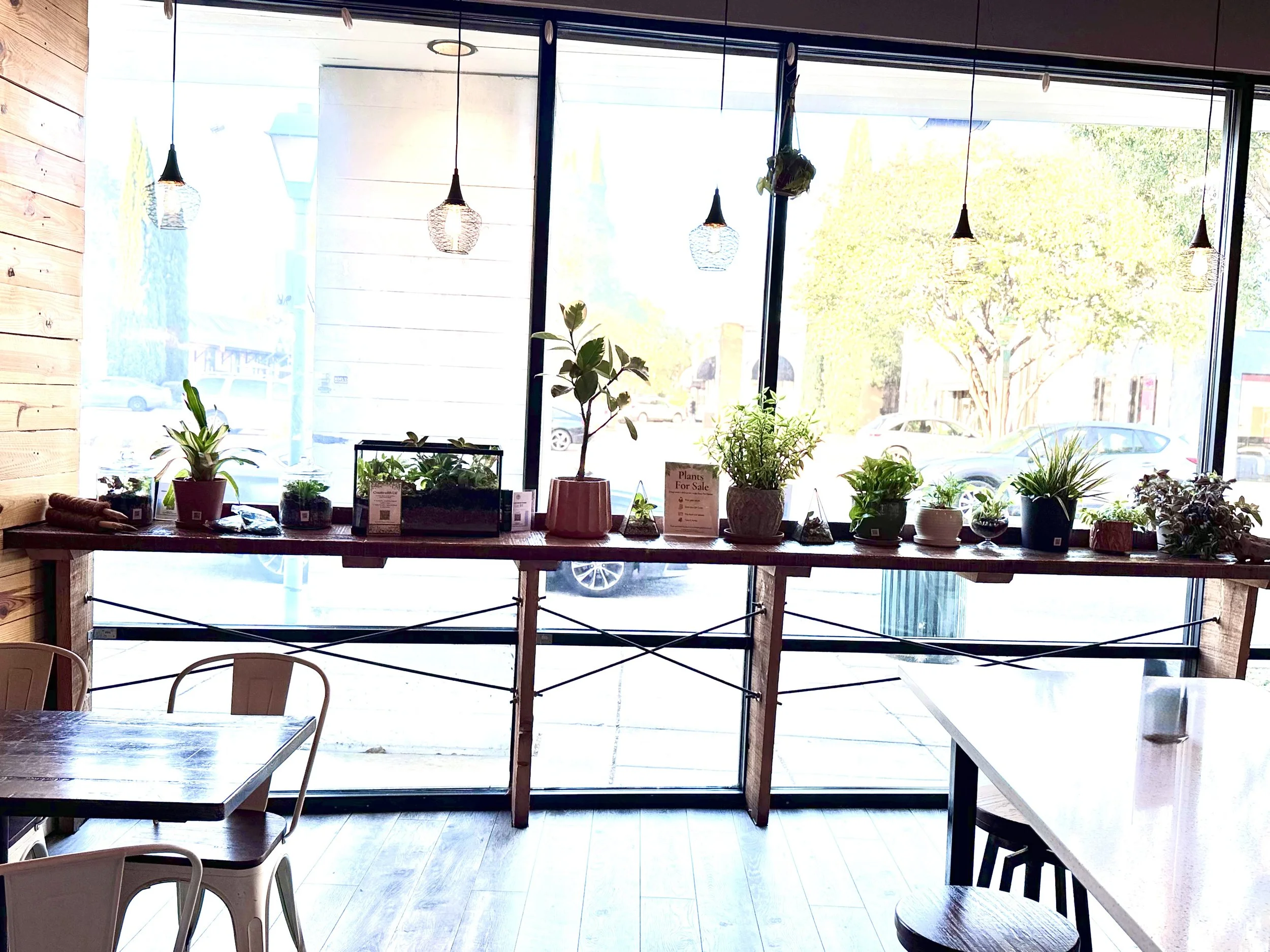 Interior of a cozy main dining room at The Ghent with plants for sale and a large window displaying various potted plants on a wooden shelf, sunlight streaming in, and seating visible in the foreground.