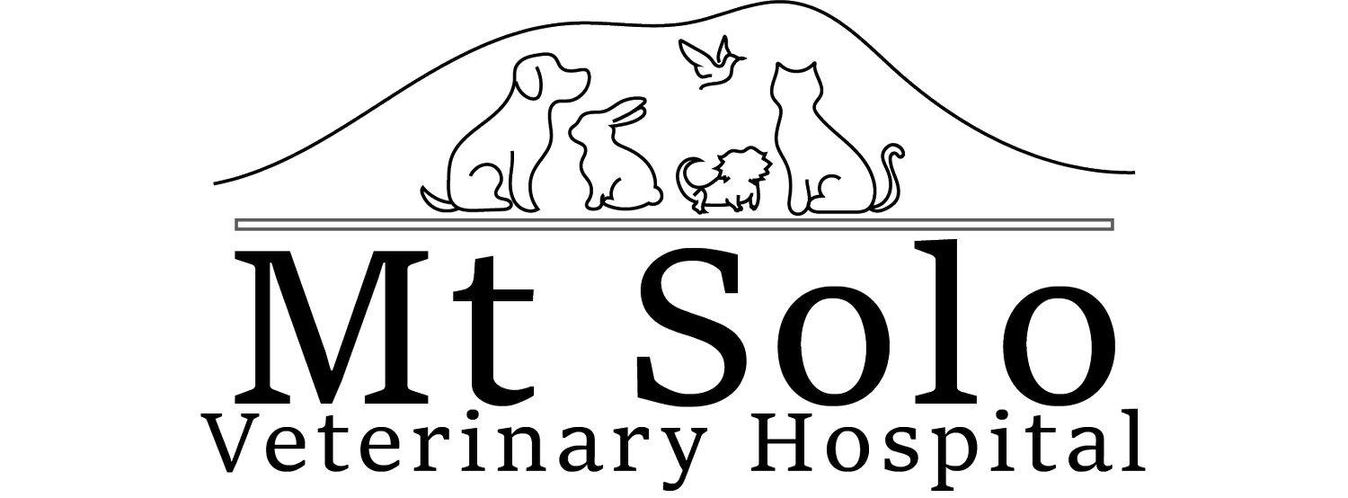 Mt Solo Veterinary Hospital