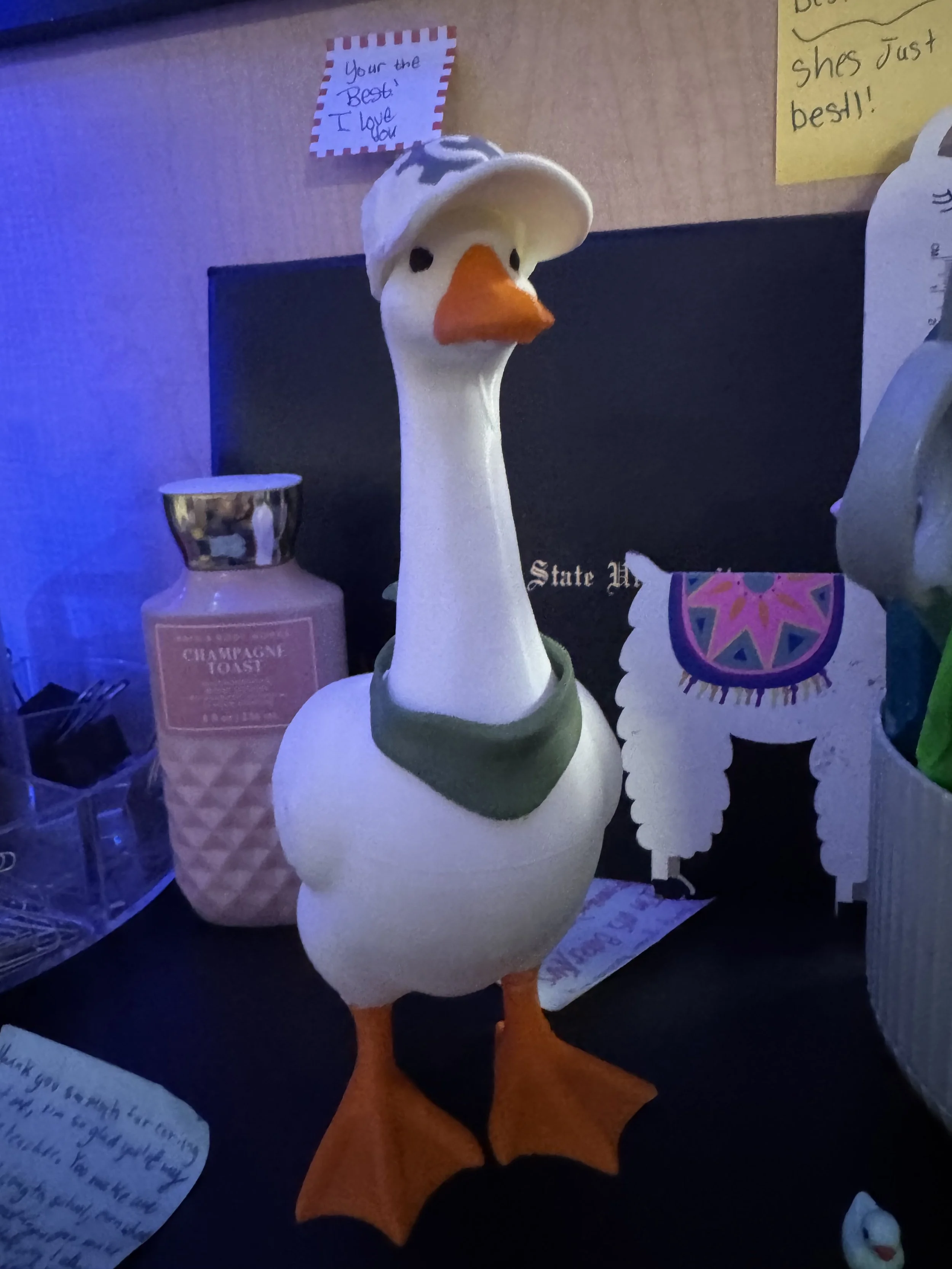 IMG_9118.jpeg