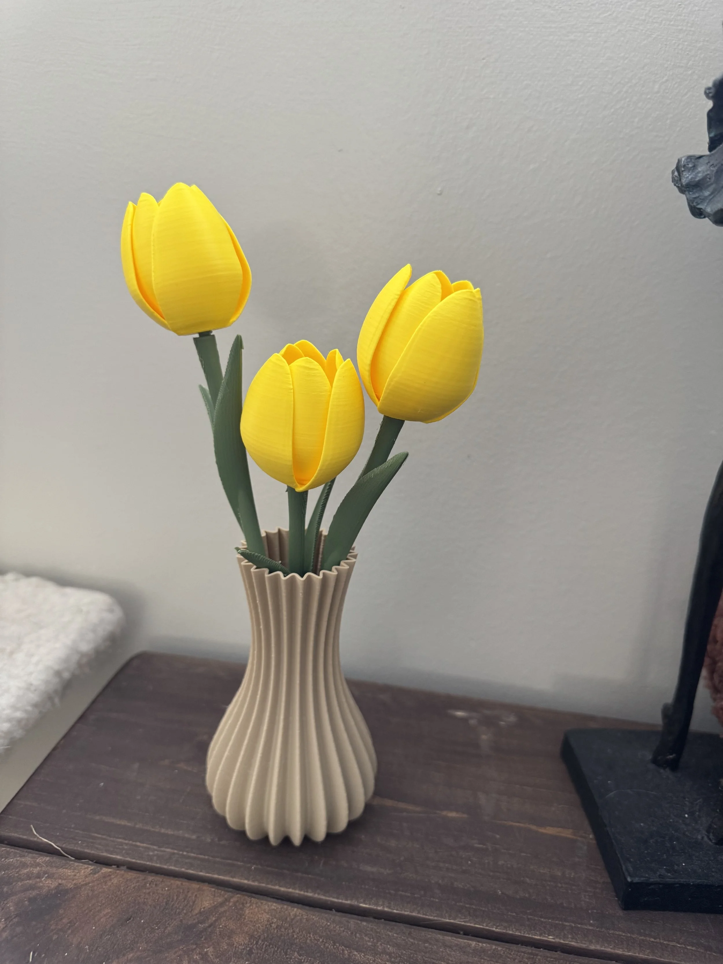 IMG_3173.jpeg