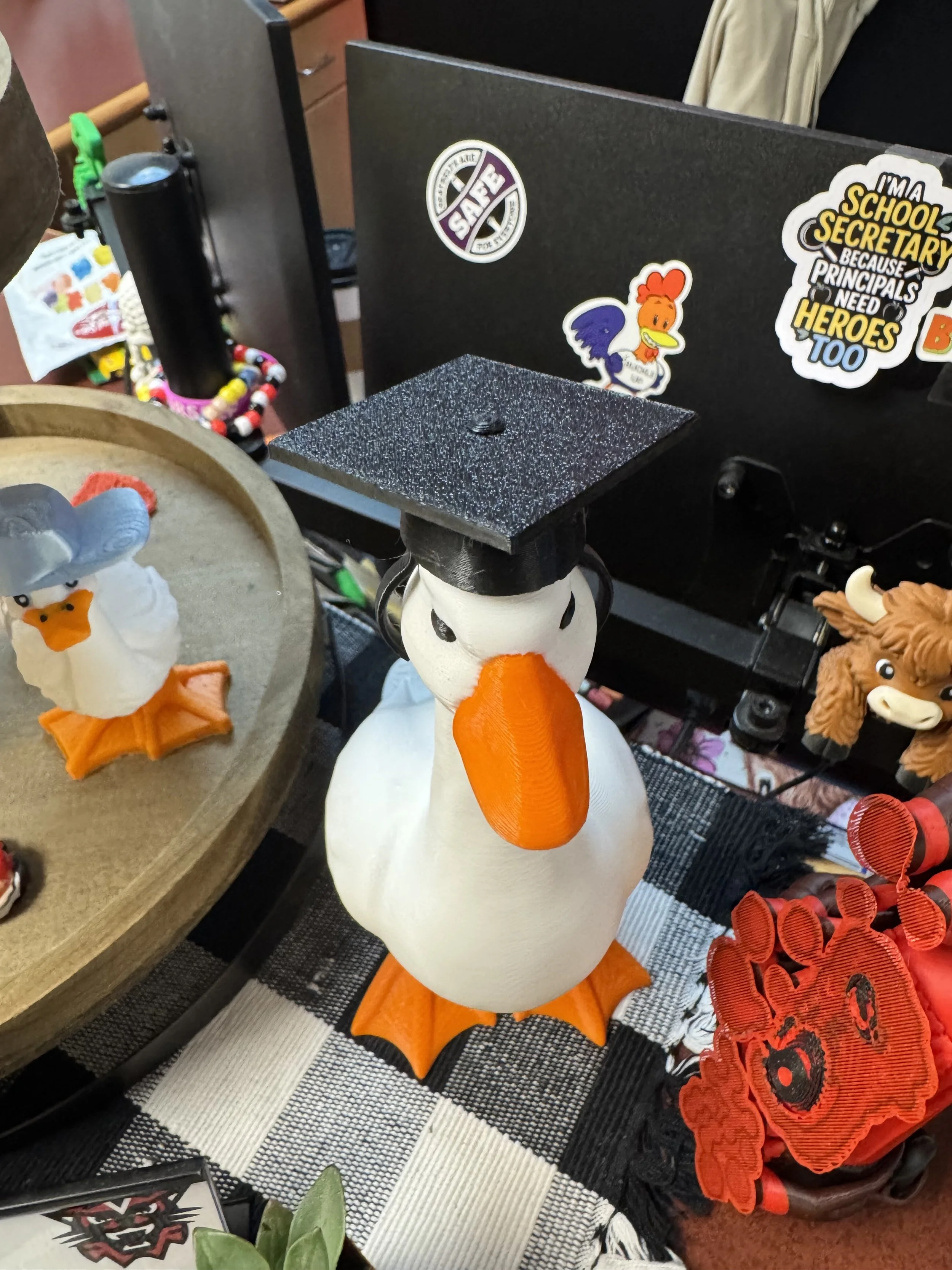 IMG_8155.jpeg