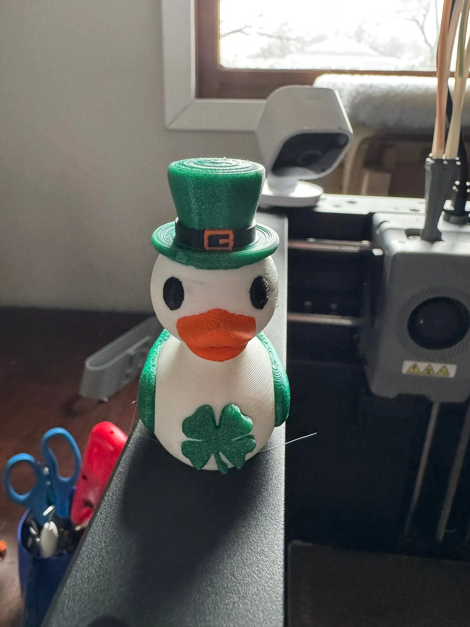 duck2.jpg