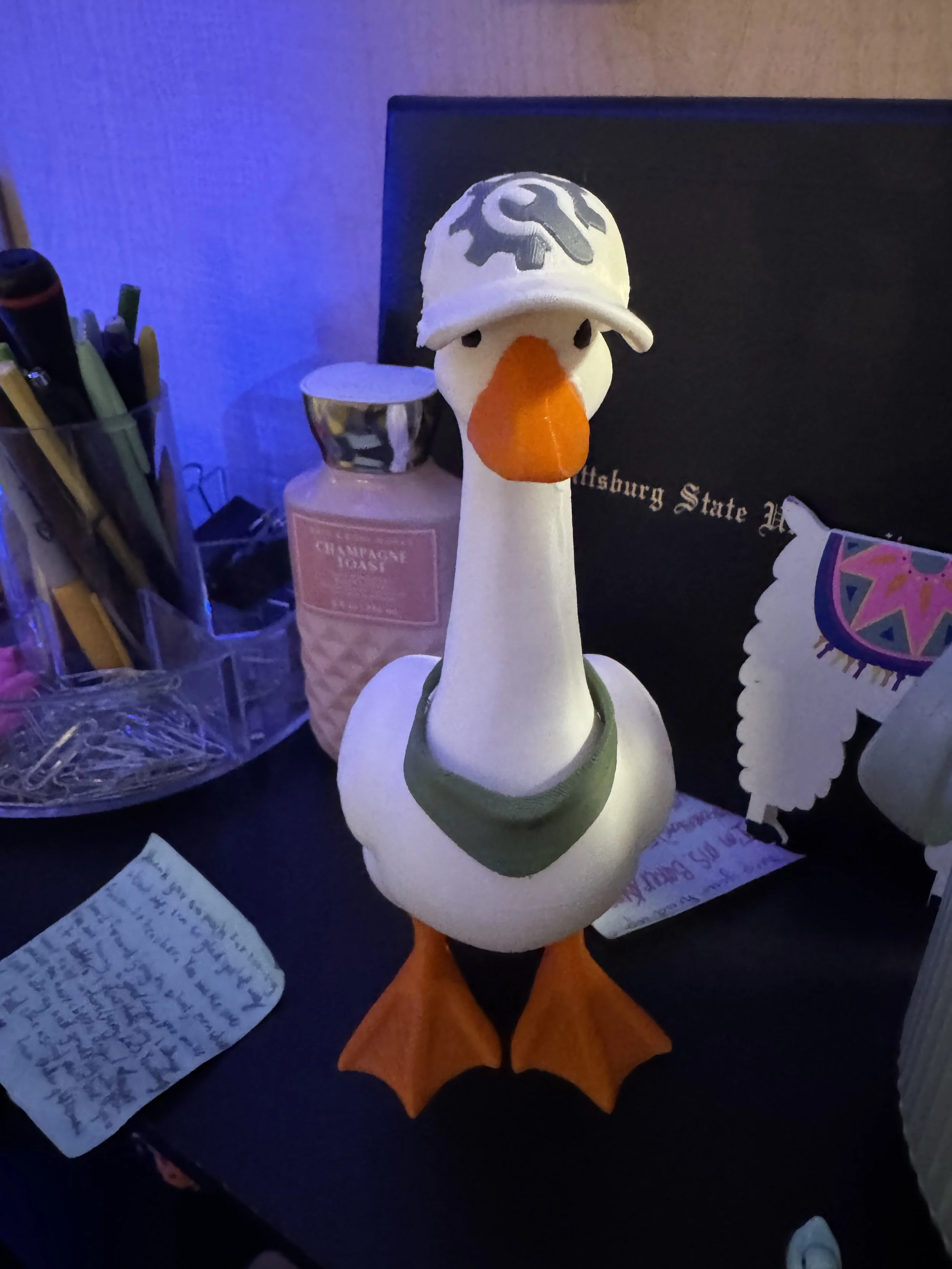 IMG_9119.jpeg
