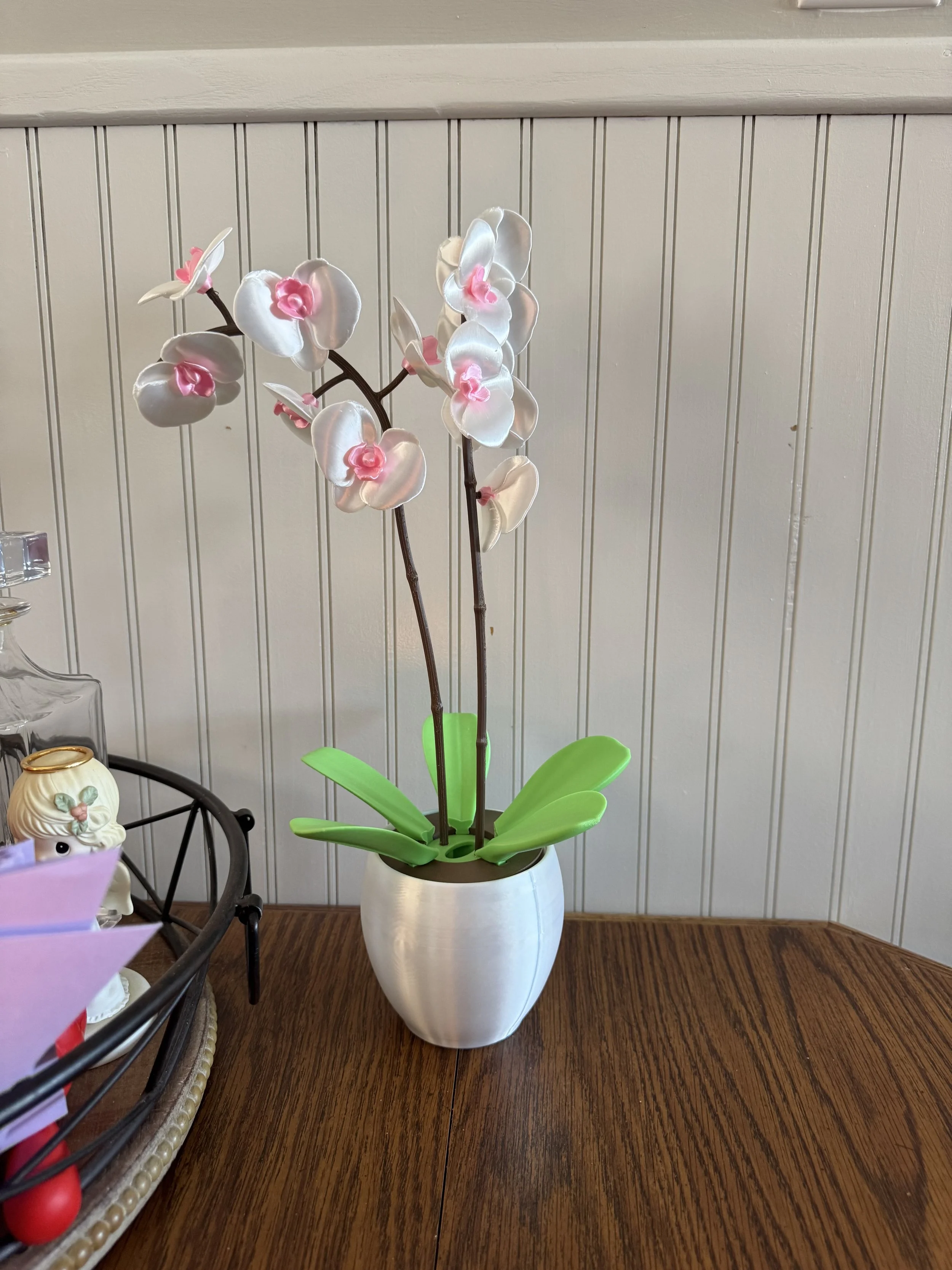 Forever Orchid