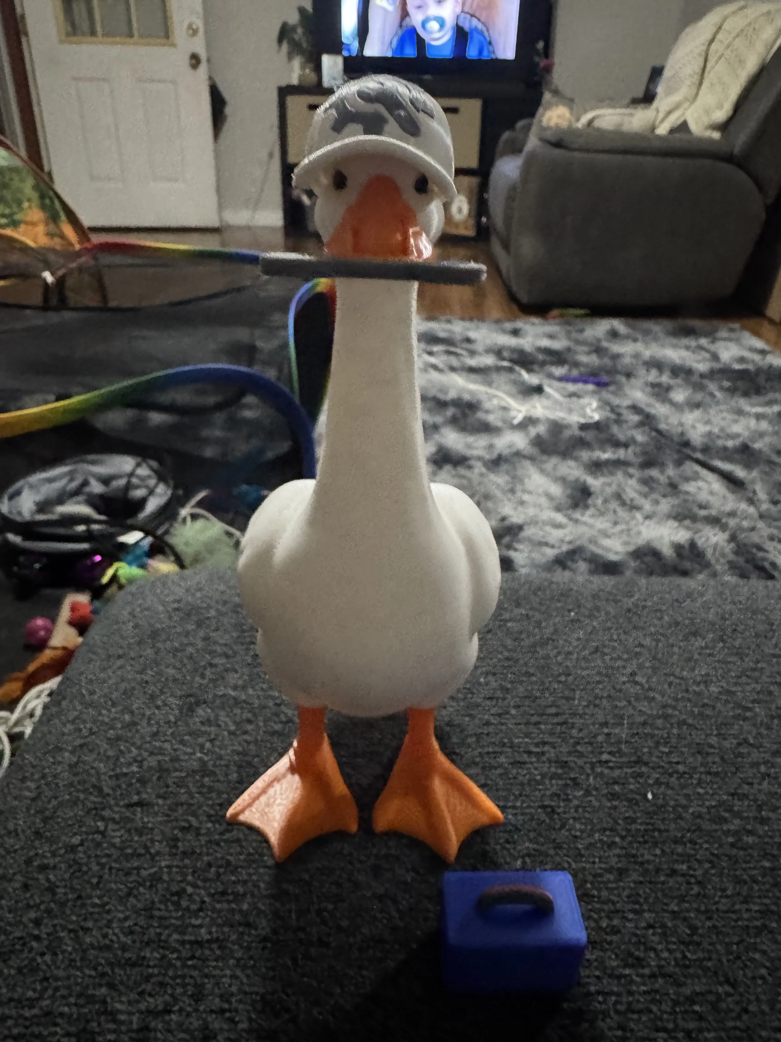 IMG_9167.jpeg
