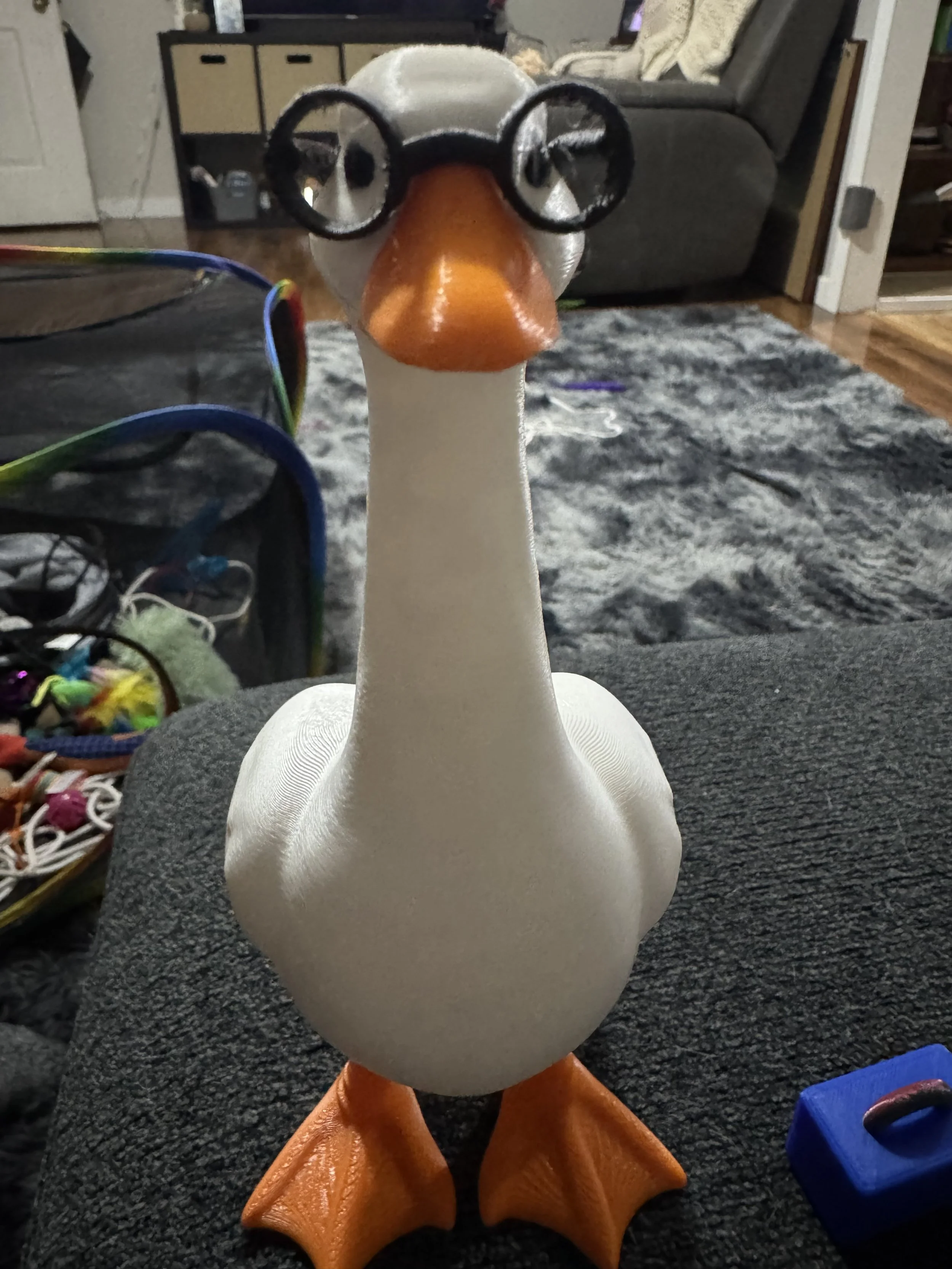 Goose Glasses