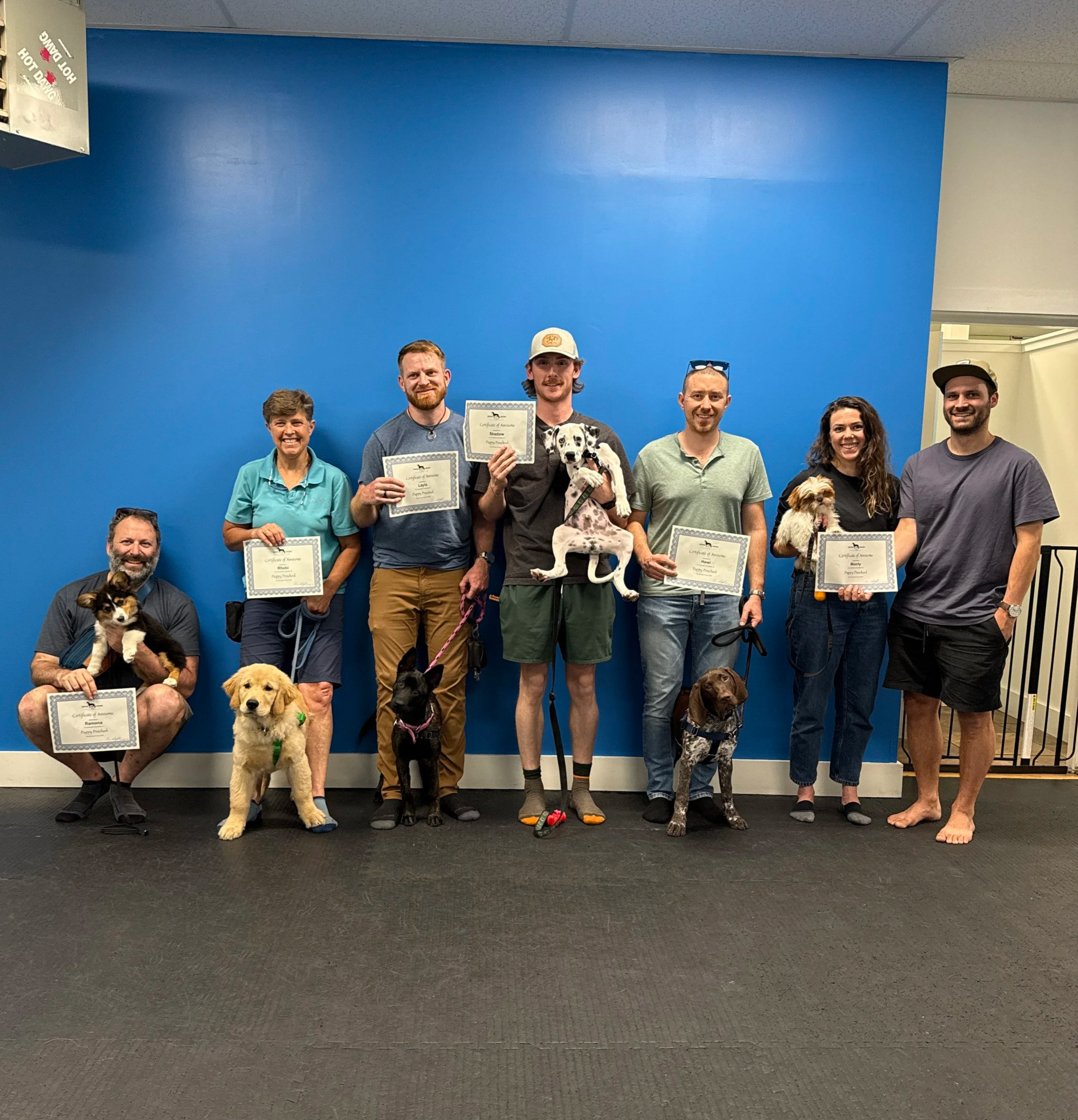 Group of six people standing against a blue wall, each holding a certificate and accompanied by a dog, celebrating a dog training or competition event.