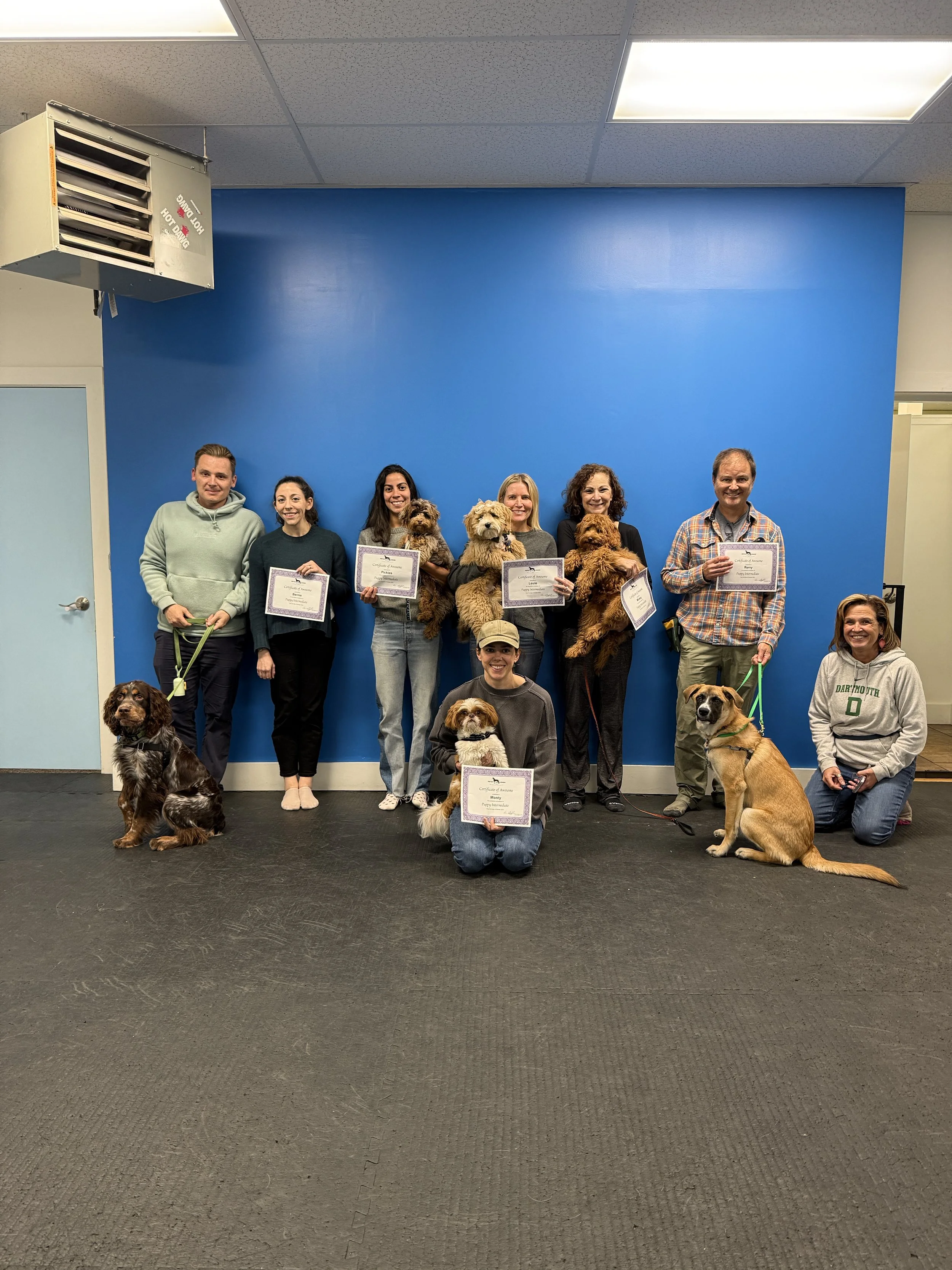 Group of people and dogs posing indoors against a blue wall with certificates in their hands, some sitting with their dogs and some standing with dogs on leashes.