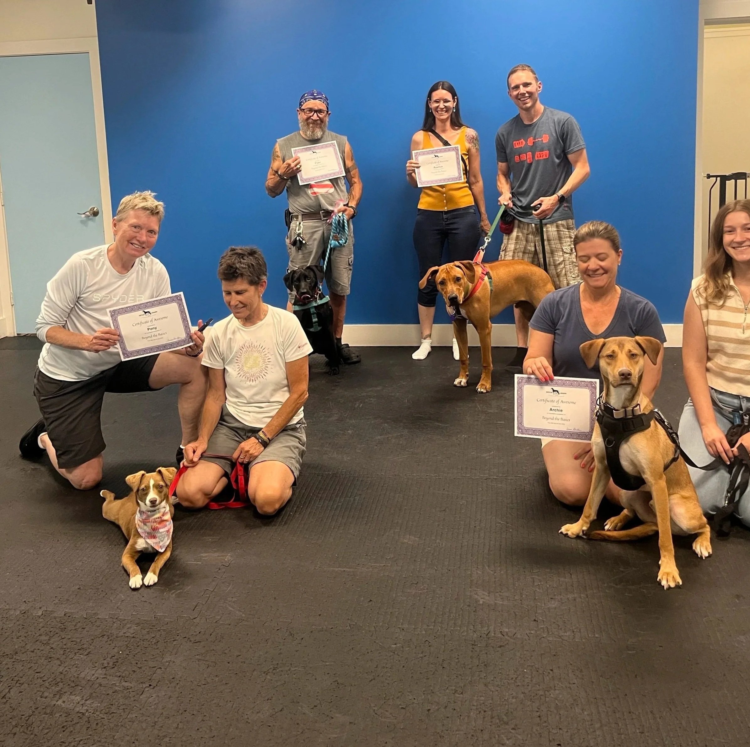 Group of people and dogs in a room with a blue wall, holding certificates and posing for a photo.
