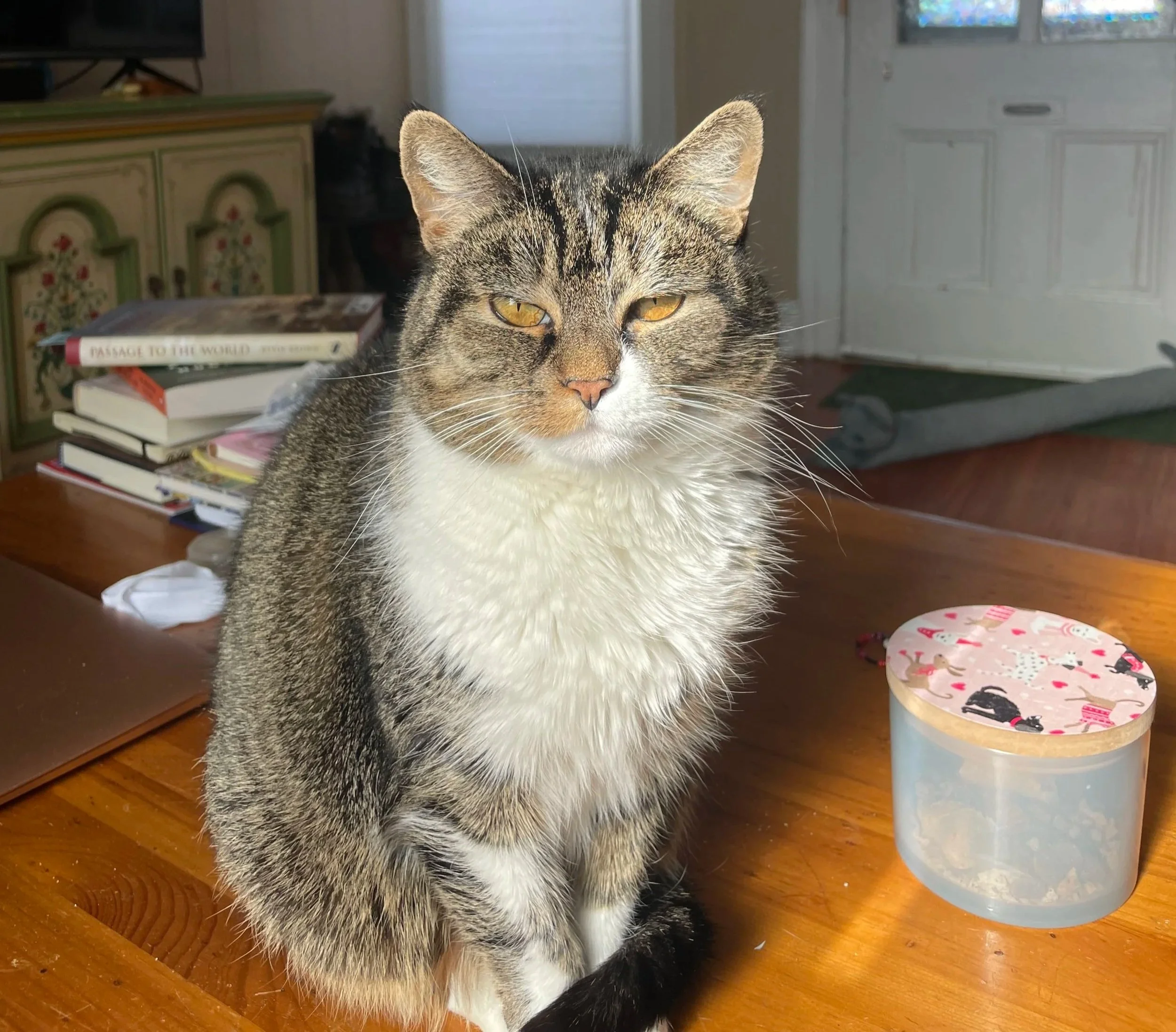 A tabby cat with white chest sitting on a wooden table in a sunlit room, with a stack of books and a decorative container nearby.