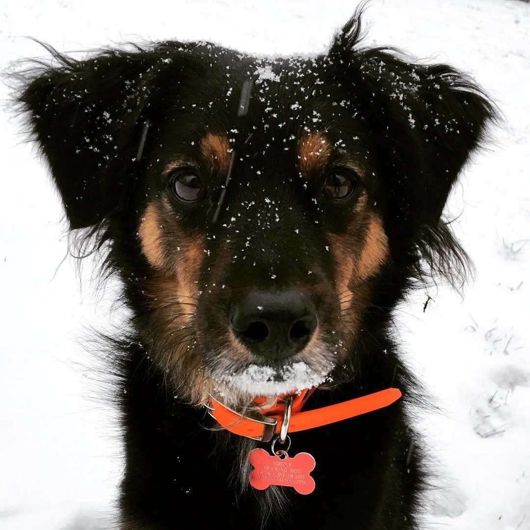 Training in the Winter Time