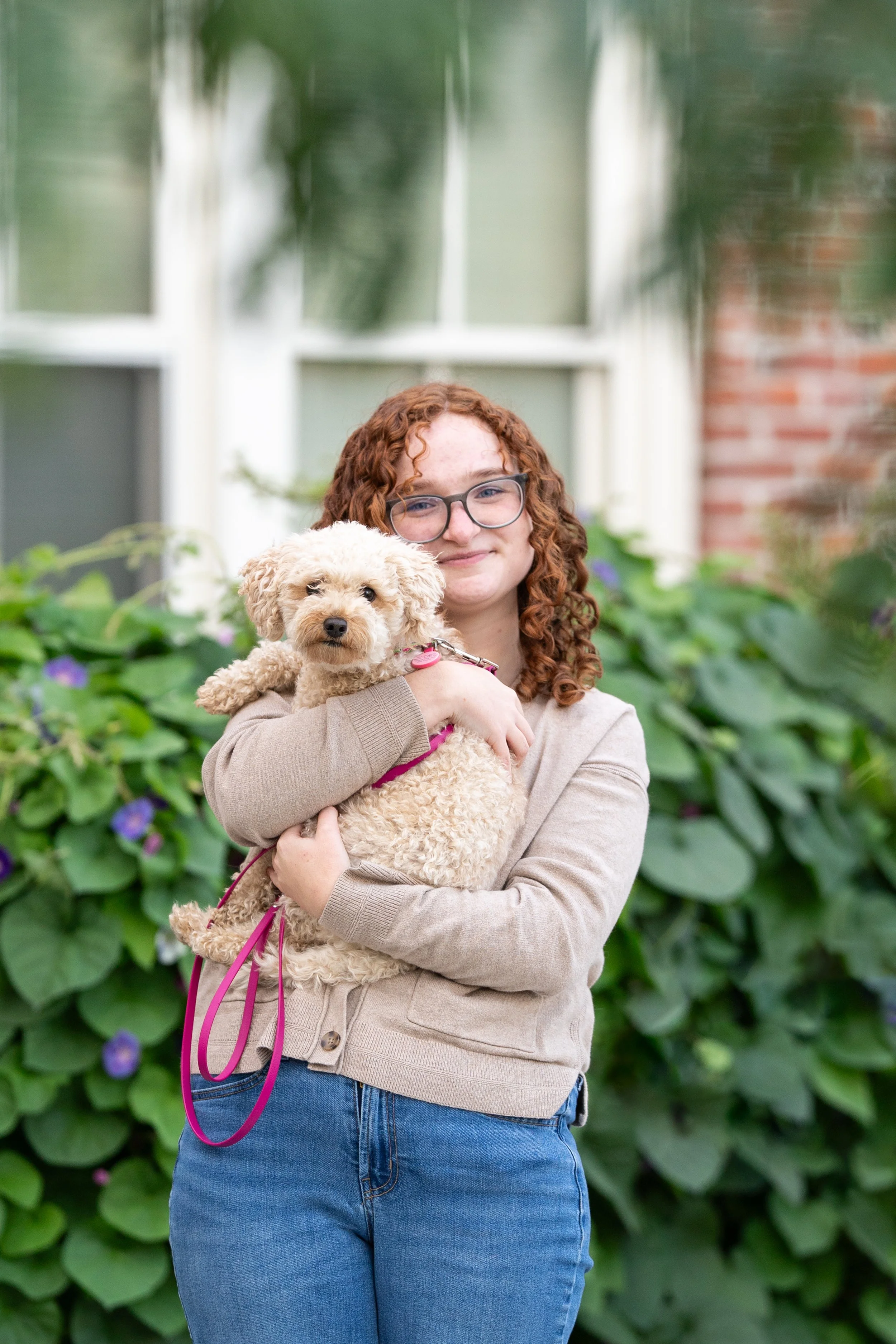 Annie & Winnie (small poodle mix)
