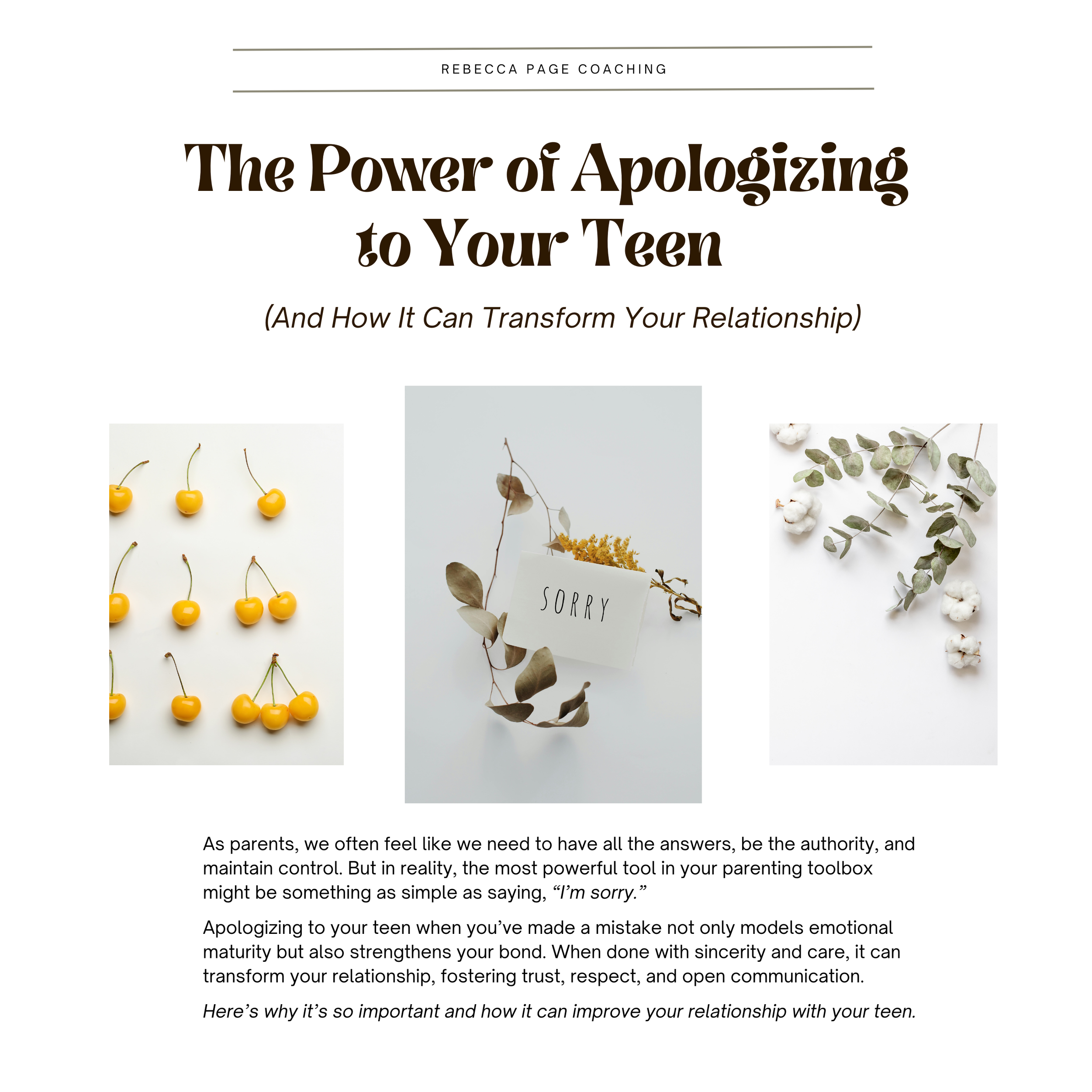 The Power of Apologizing