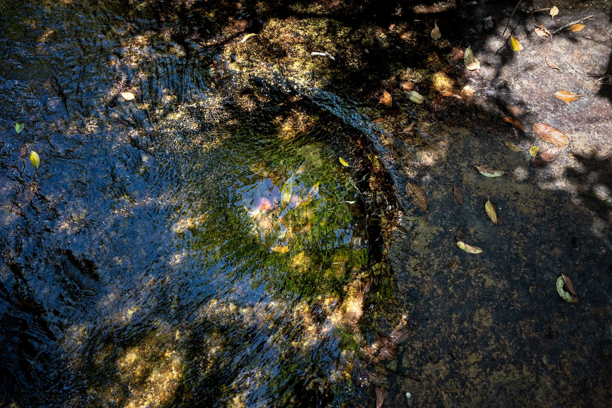 DSC_7522.jpg