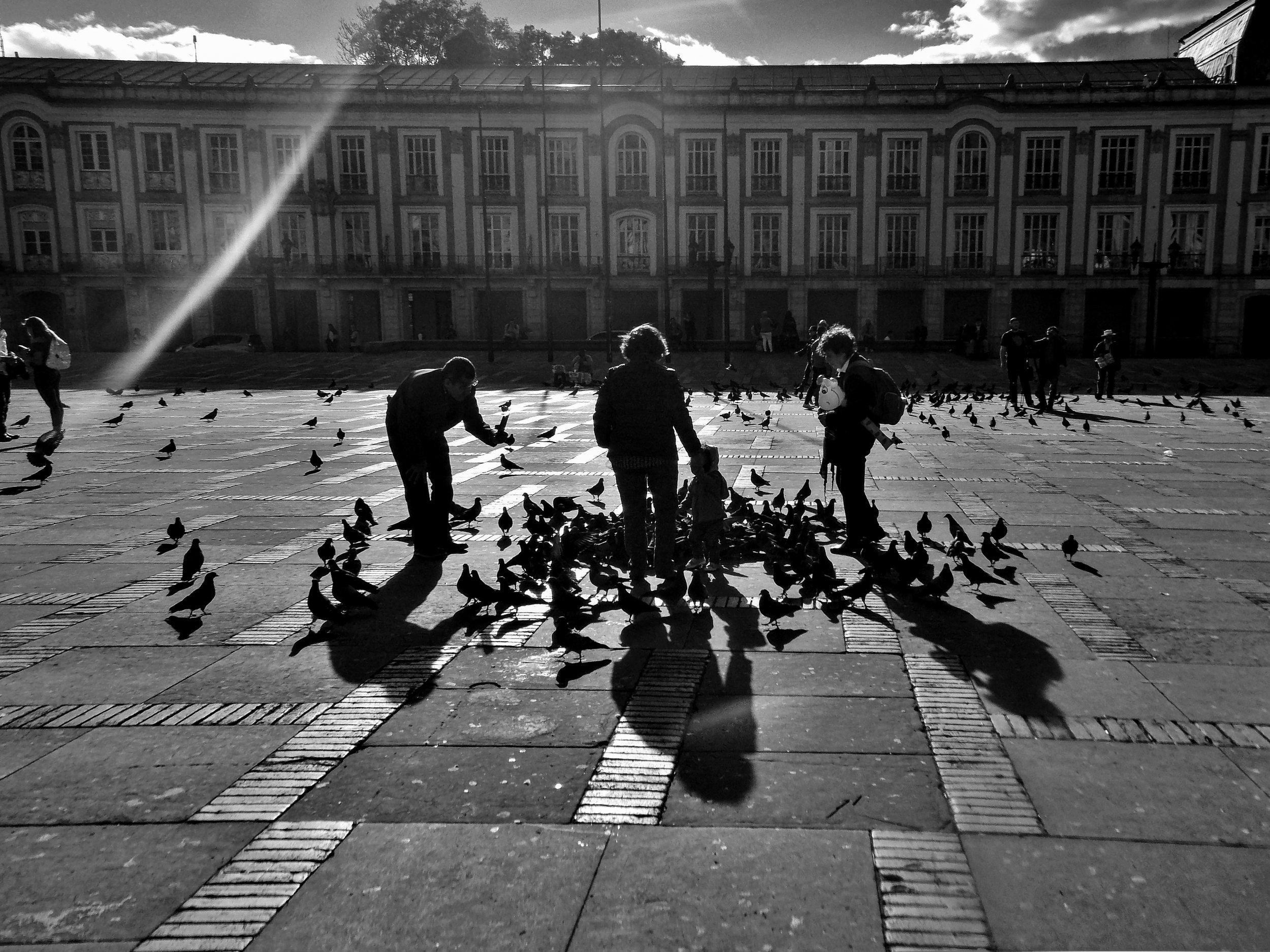 DSCN9577 (2).jpg