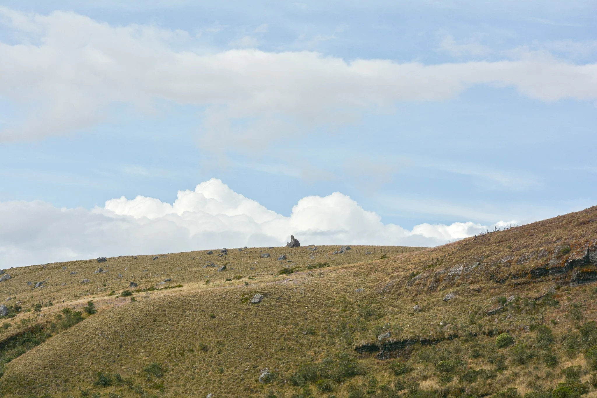 JDS_5287-2.jpg