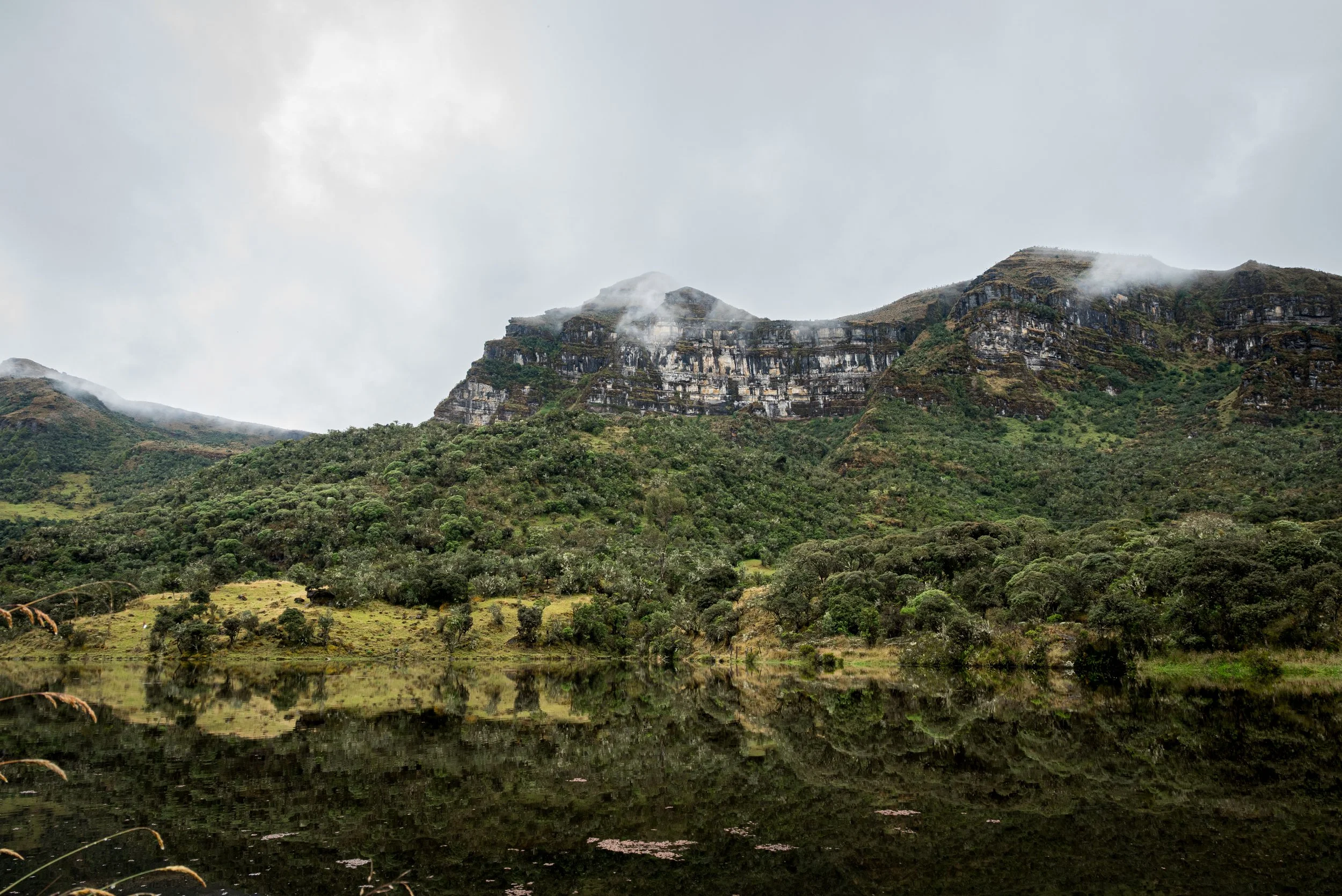 _JA52255-2.jpg