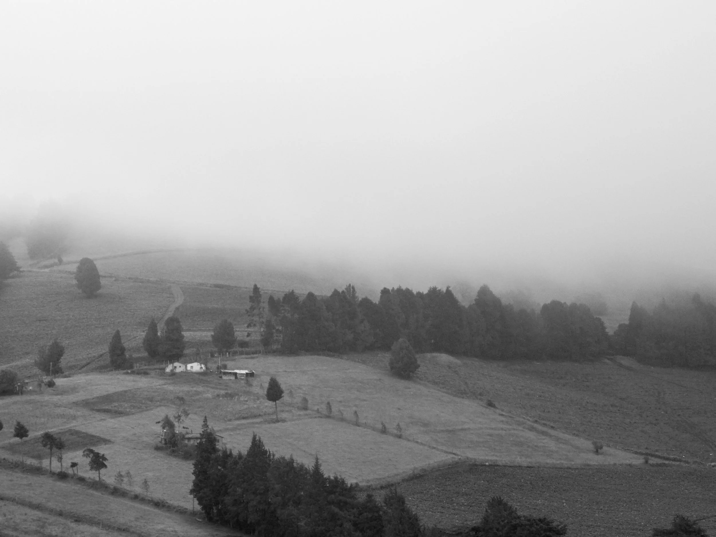 DSCN3789.jpg