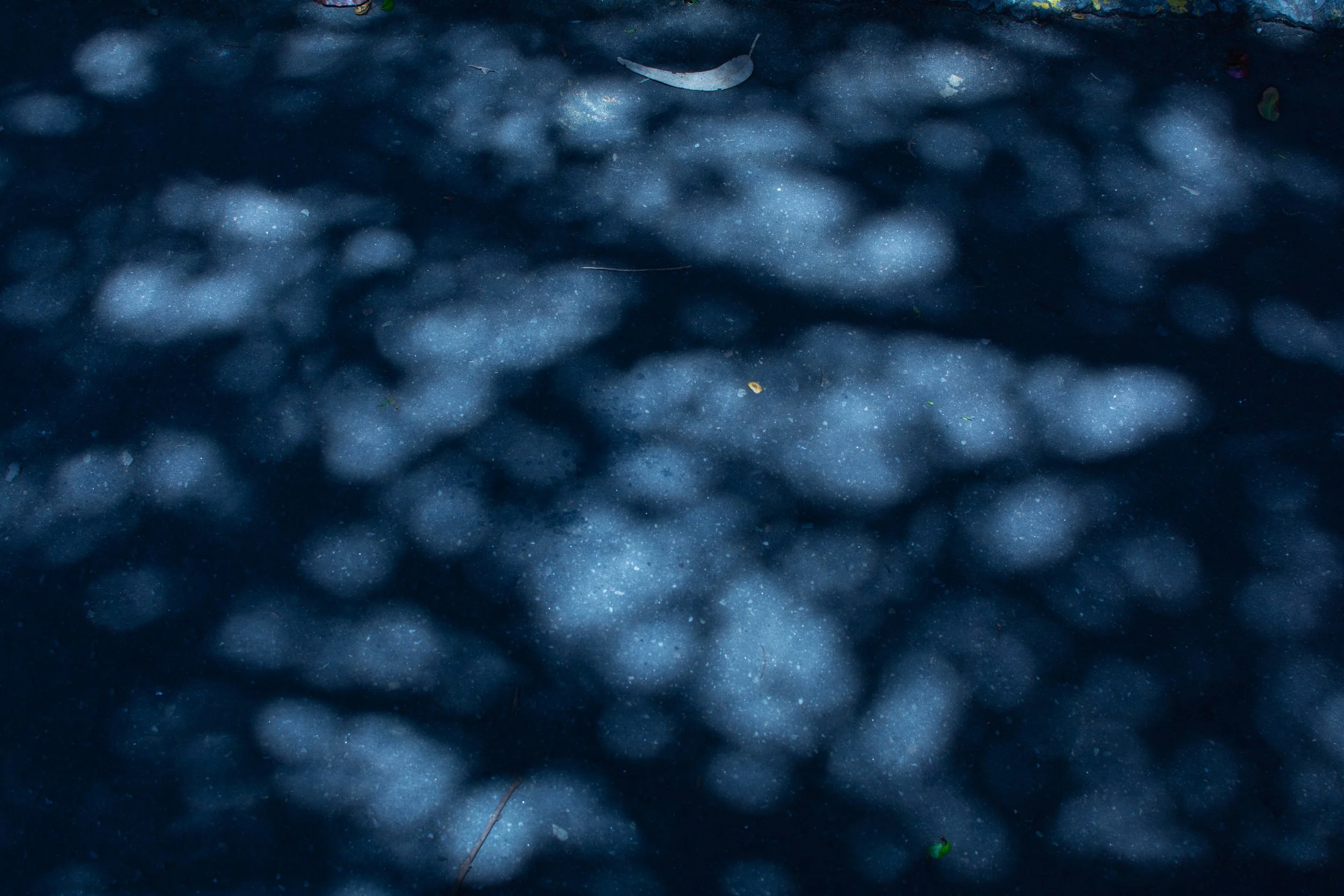 JDS_1845.jpg