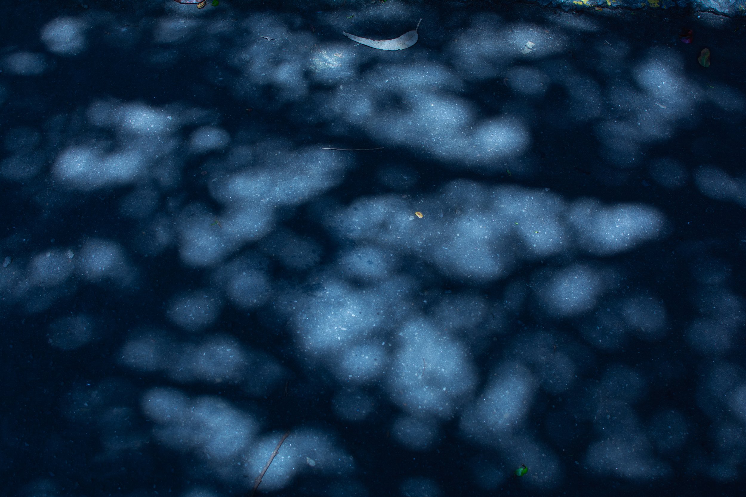 JDS_1845.jpg