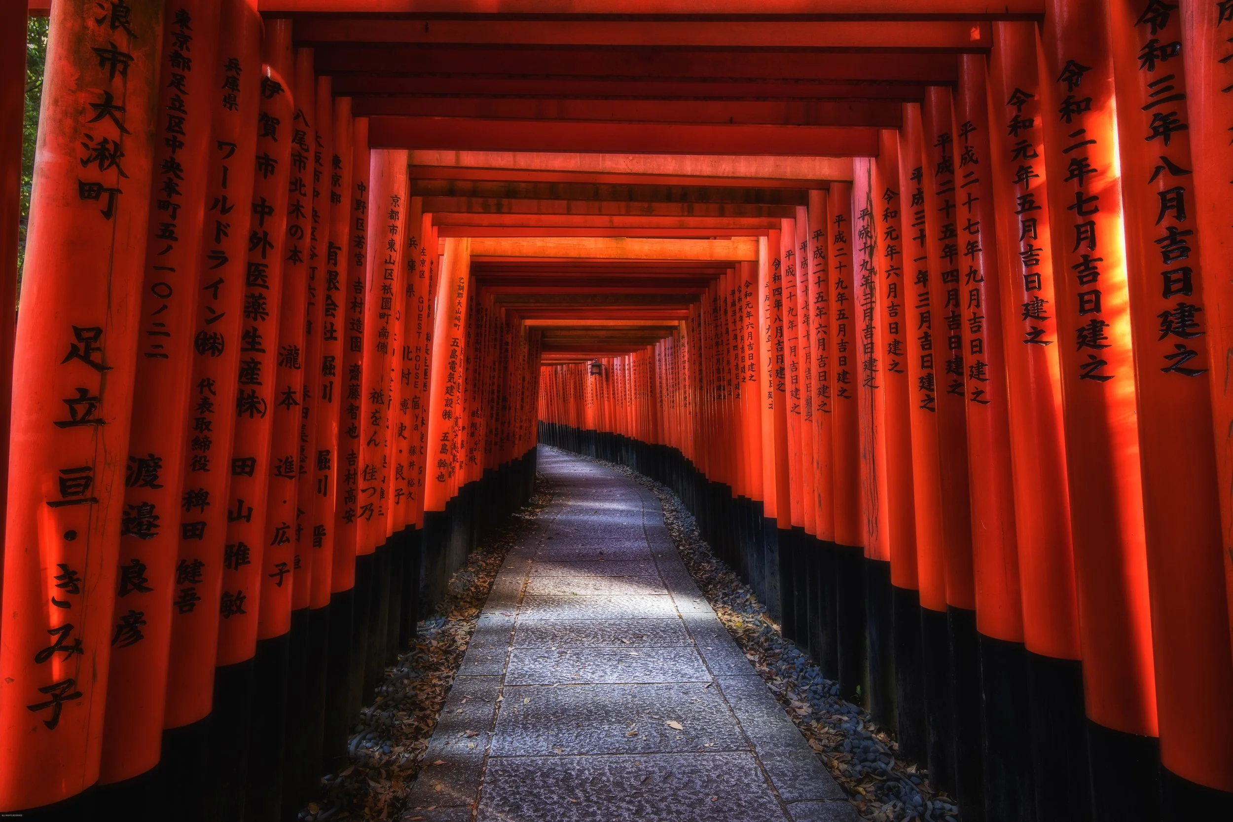 Fushimi Inari Shrine-.jpg