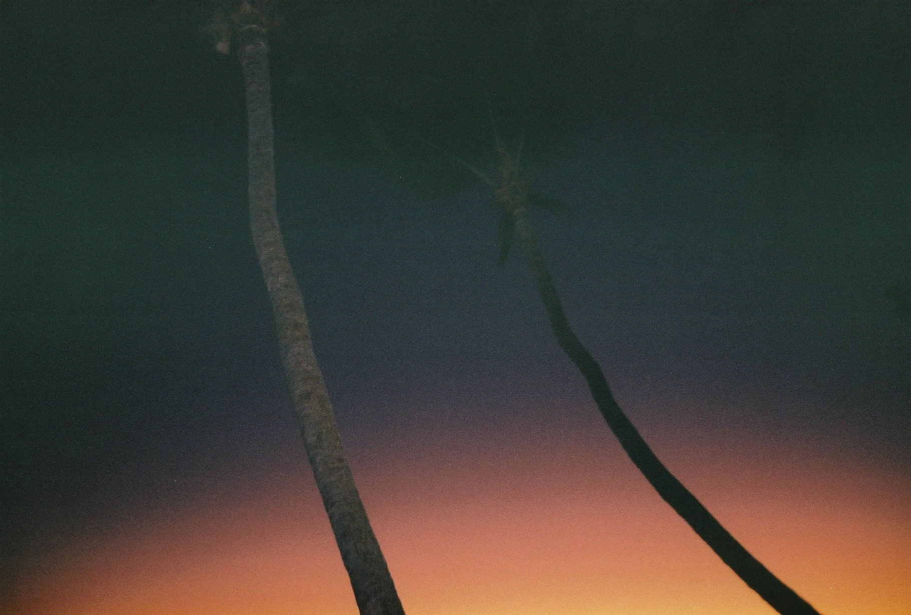 Professional Package