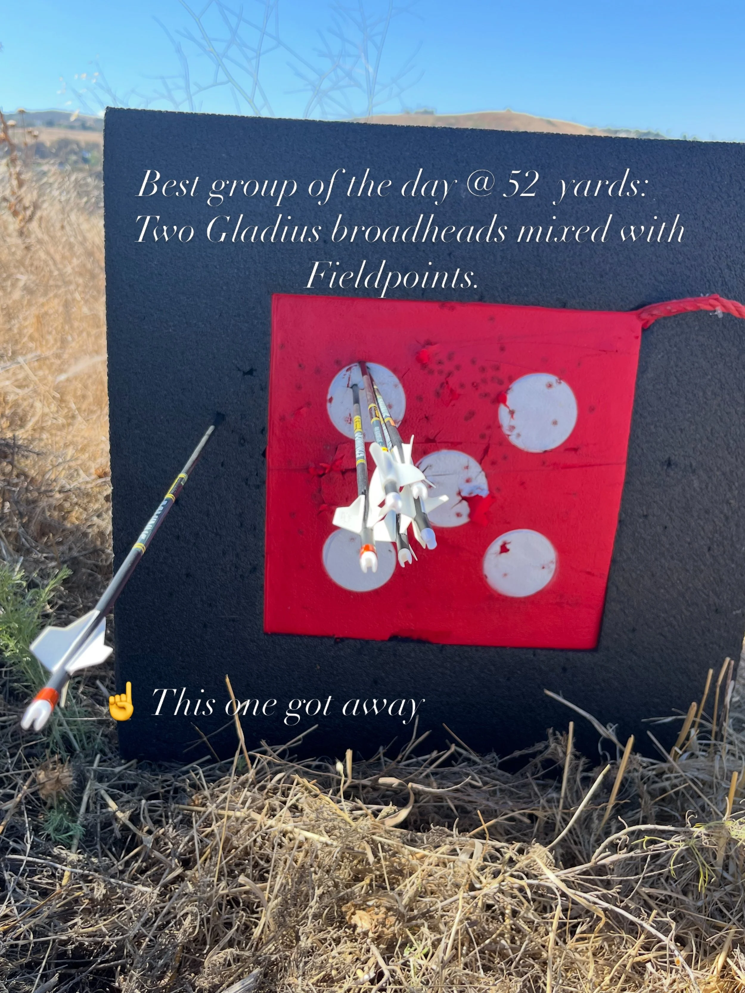 After taking a week and a half off, it definitely showed today. It took a little time to settle back in, but once everything started clicking, the groups tightened up quickly.

I was shooting 2 Gladius broadheads alongside 4 field points. One shot go