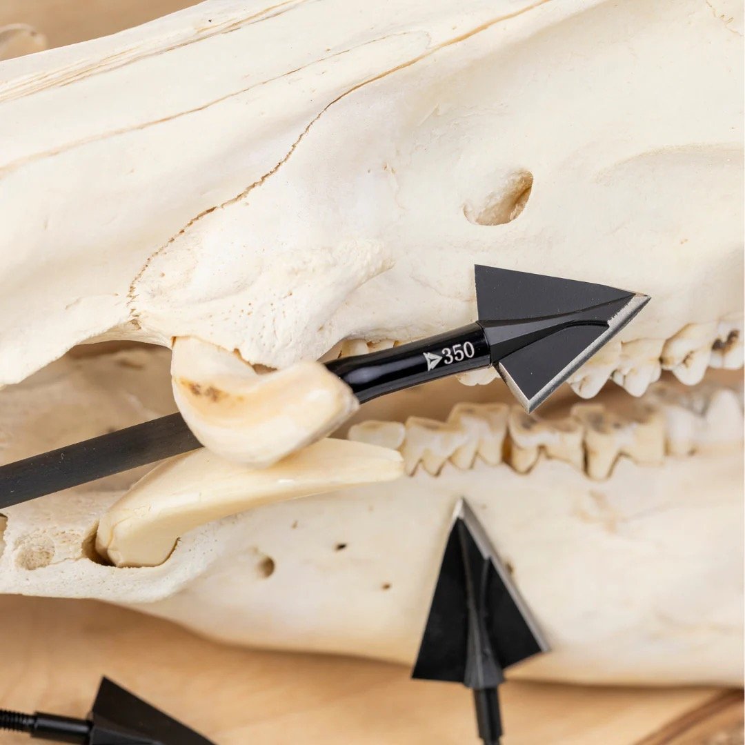 Terra Firma Venator 2 Blade Broadhead, 3 pk