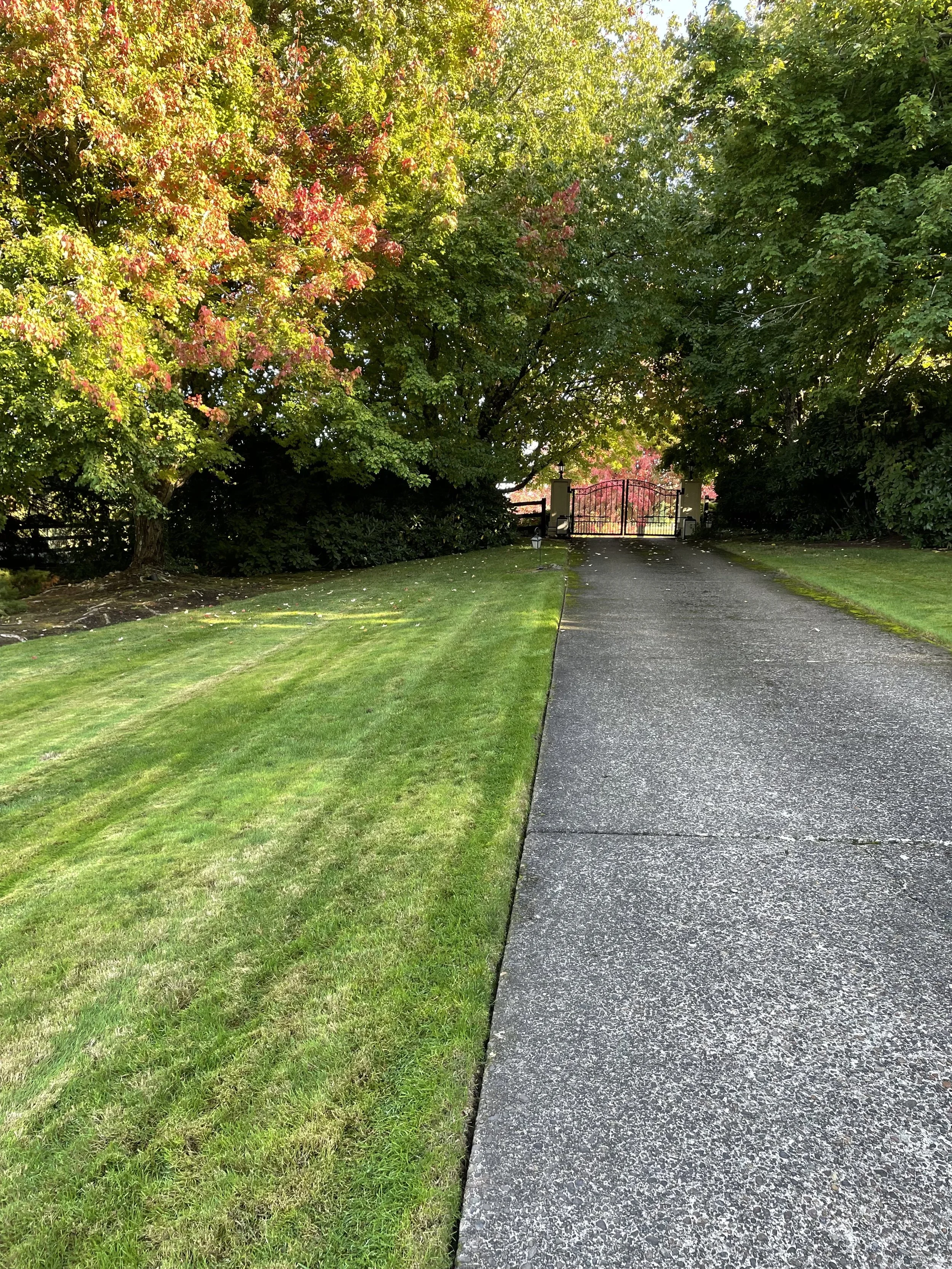 Oranssi project: wraparound deck