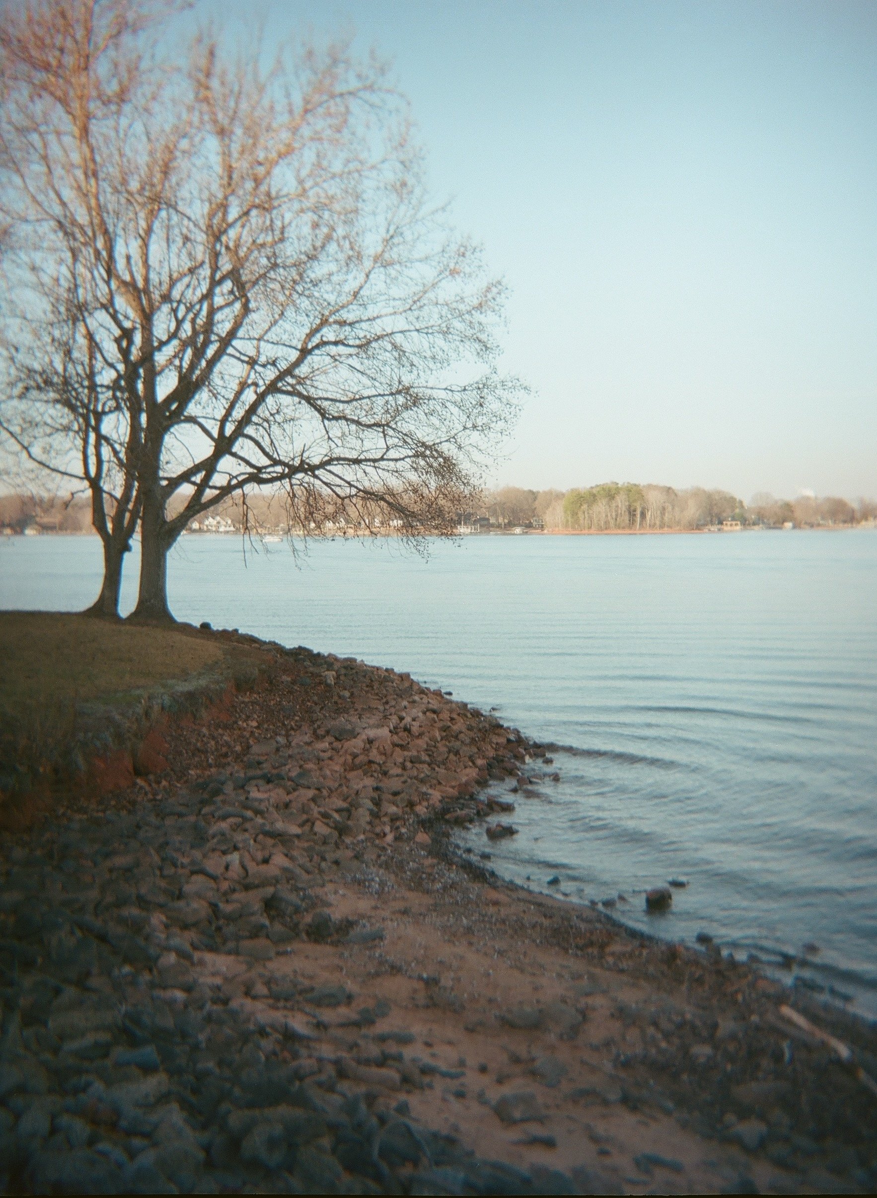 Library - 2 of 19.jpeg