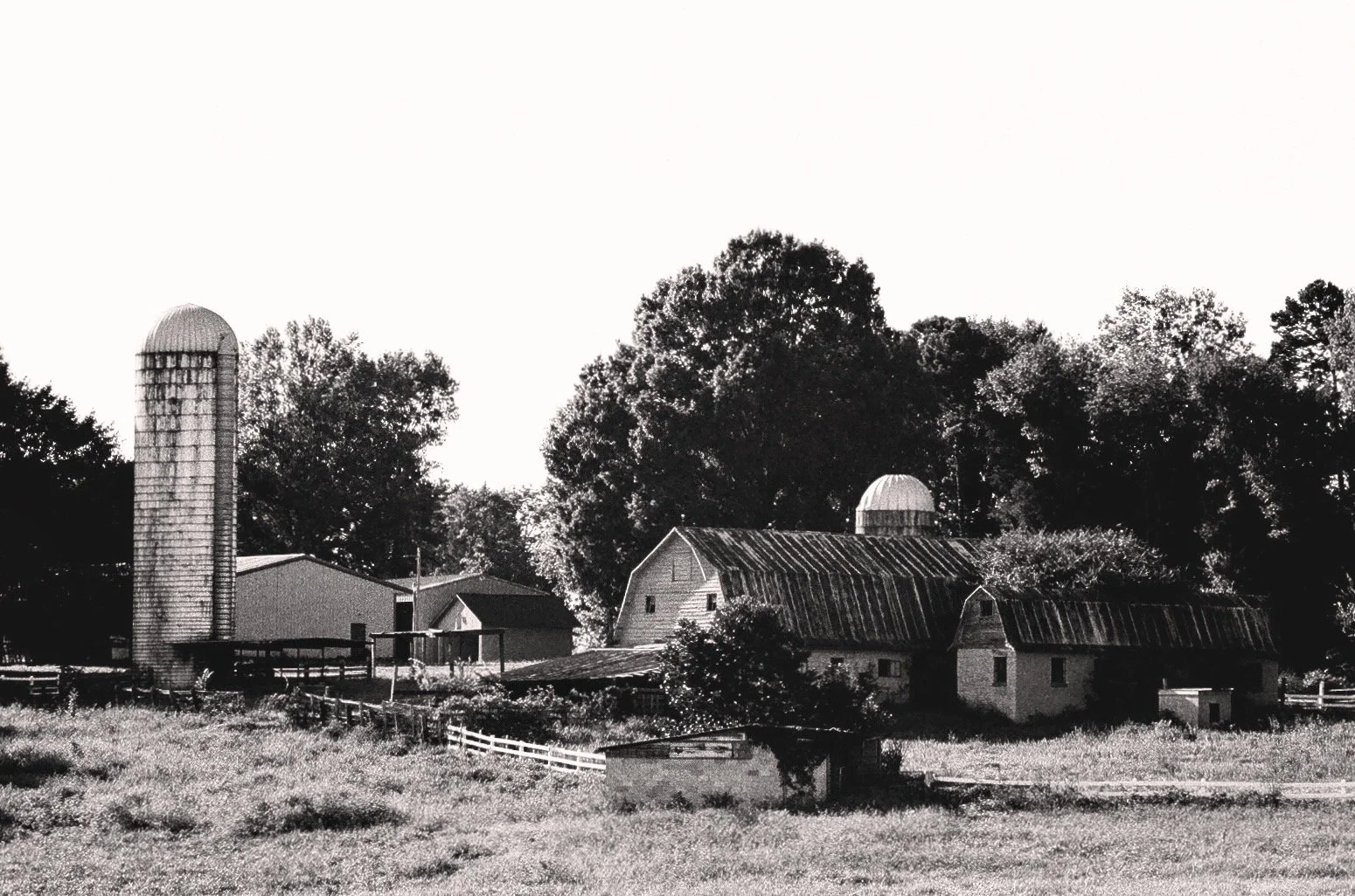 Farm