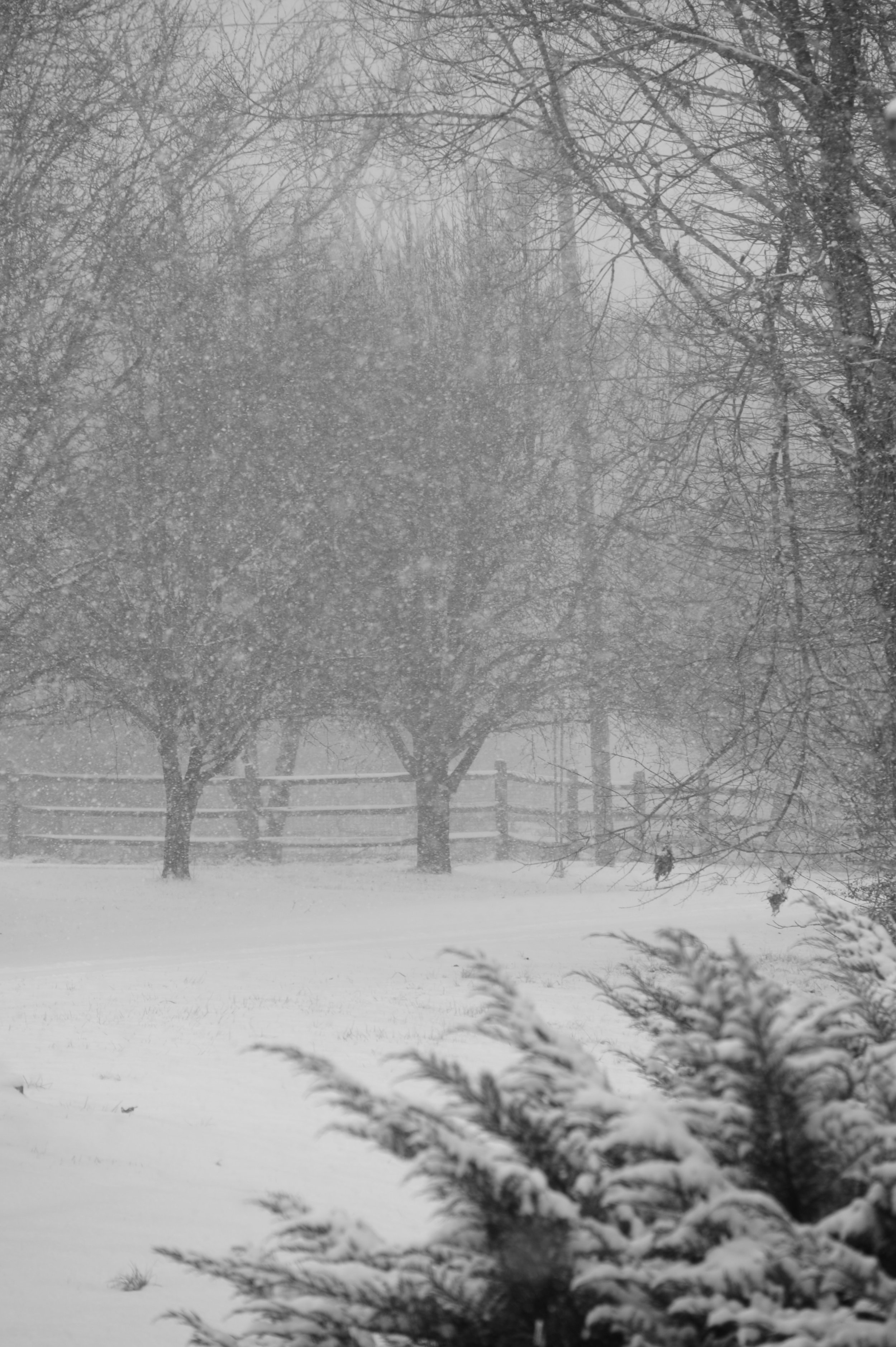 Library - 7 of 19.jpeg