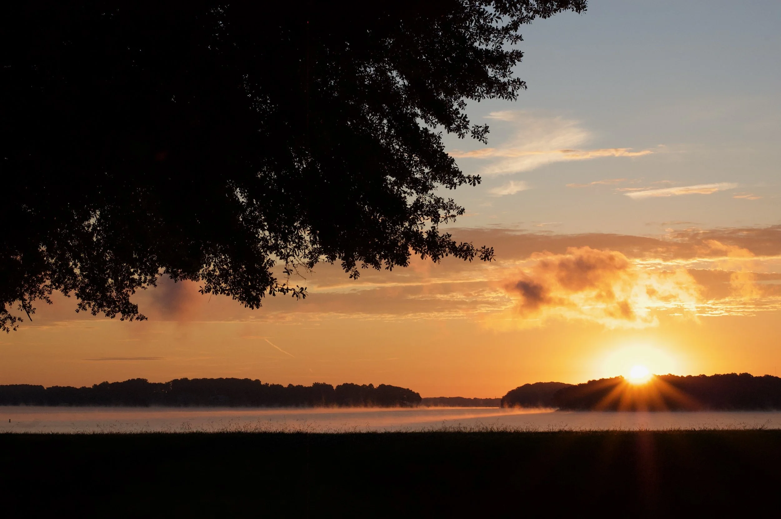 Portfolio - 69 of 150.jpeg