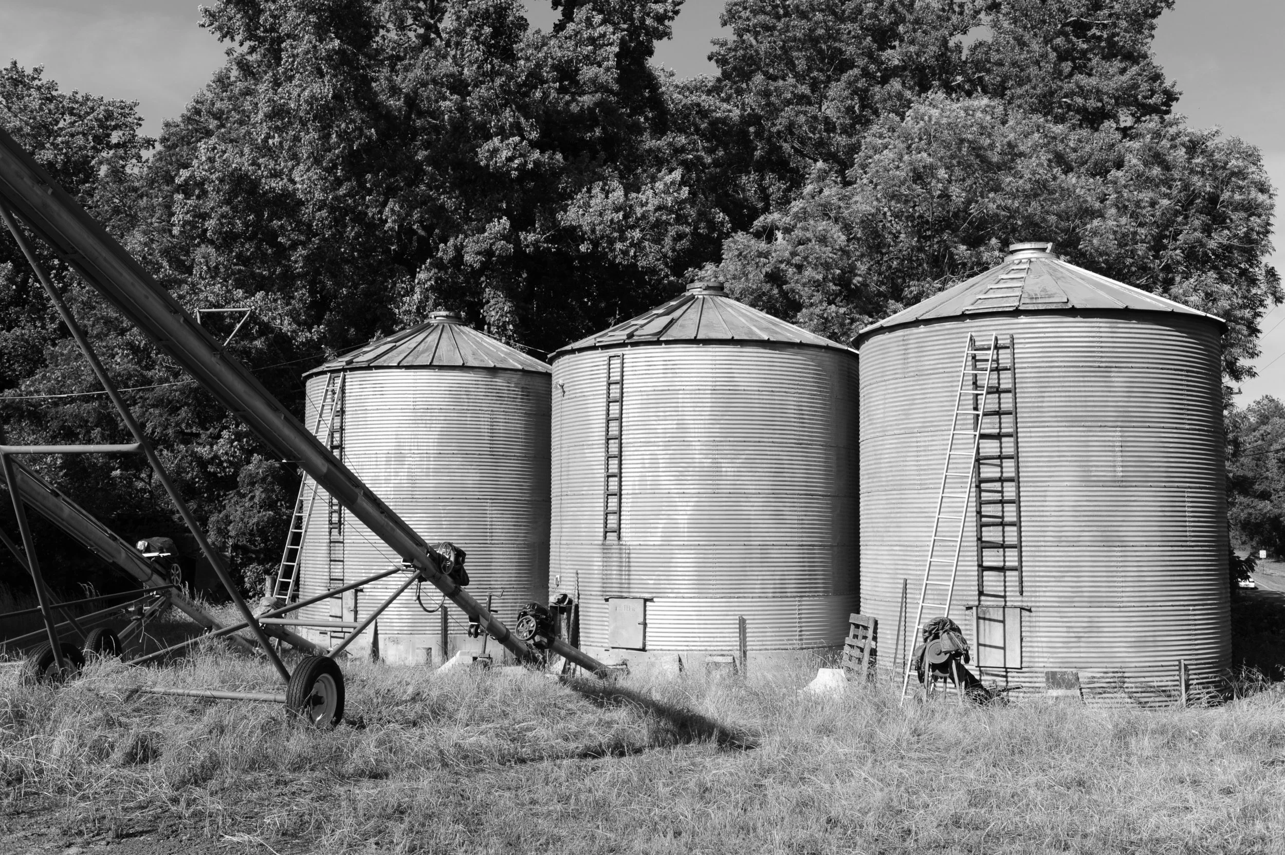 DSC_5089.jpeg