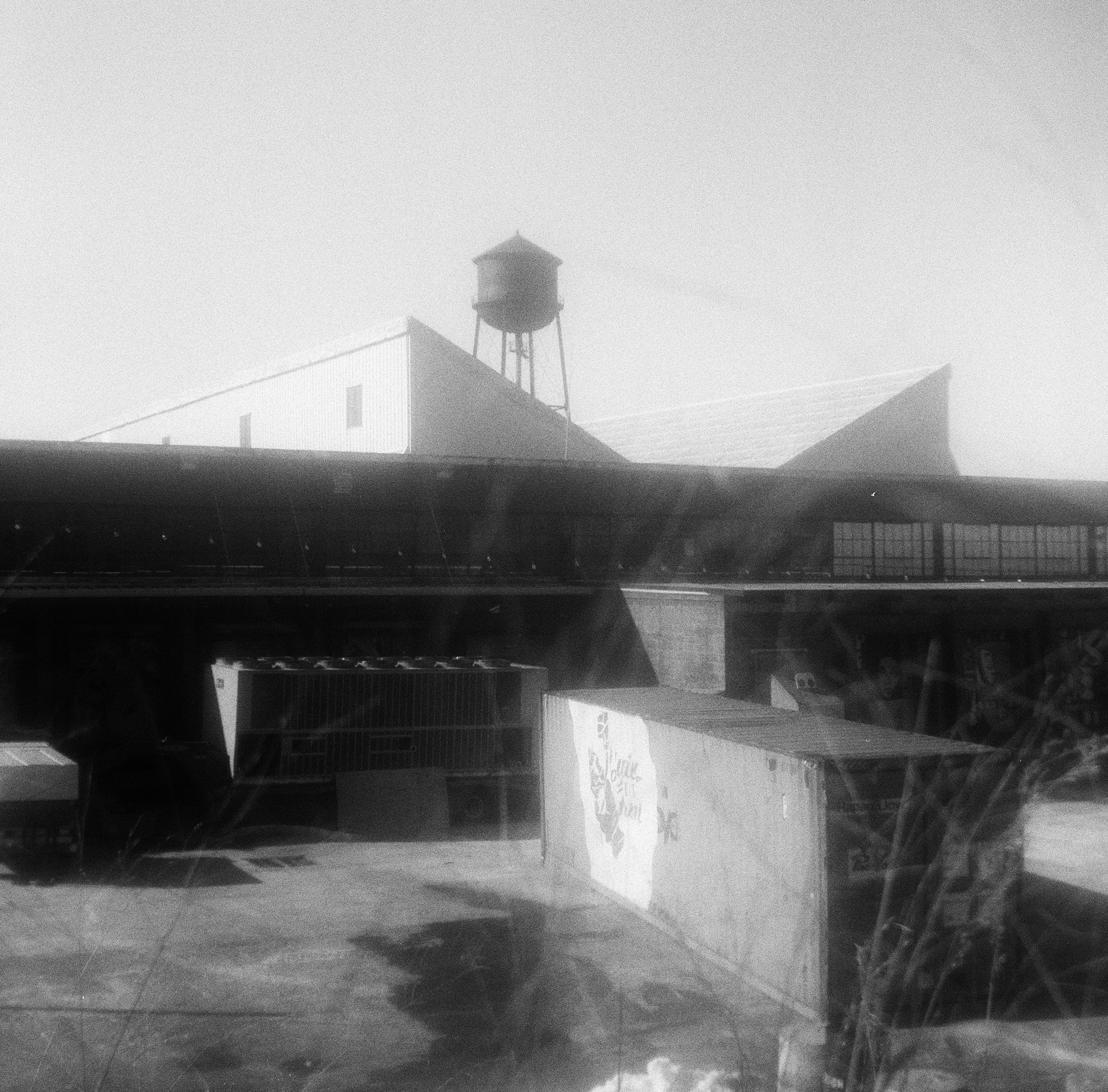 Library - 3 of 6.jpeg