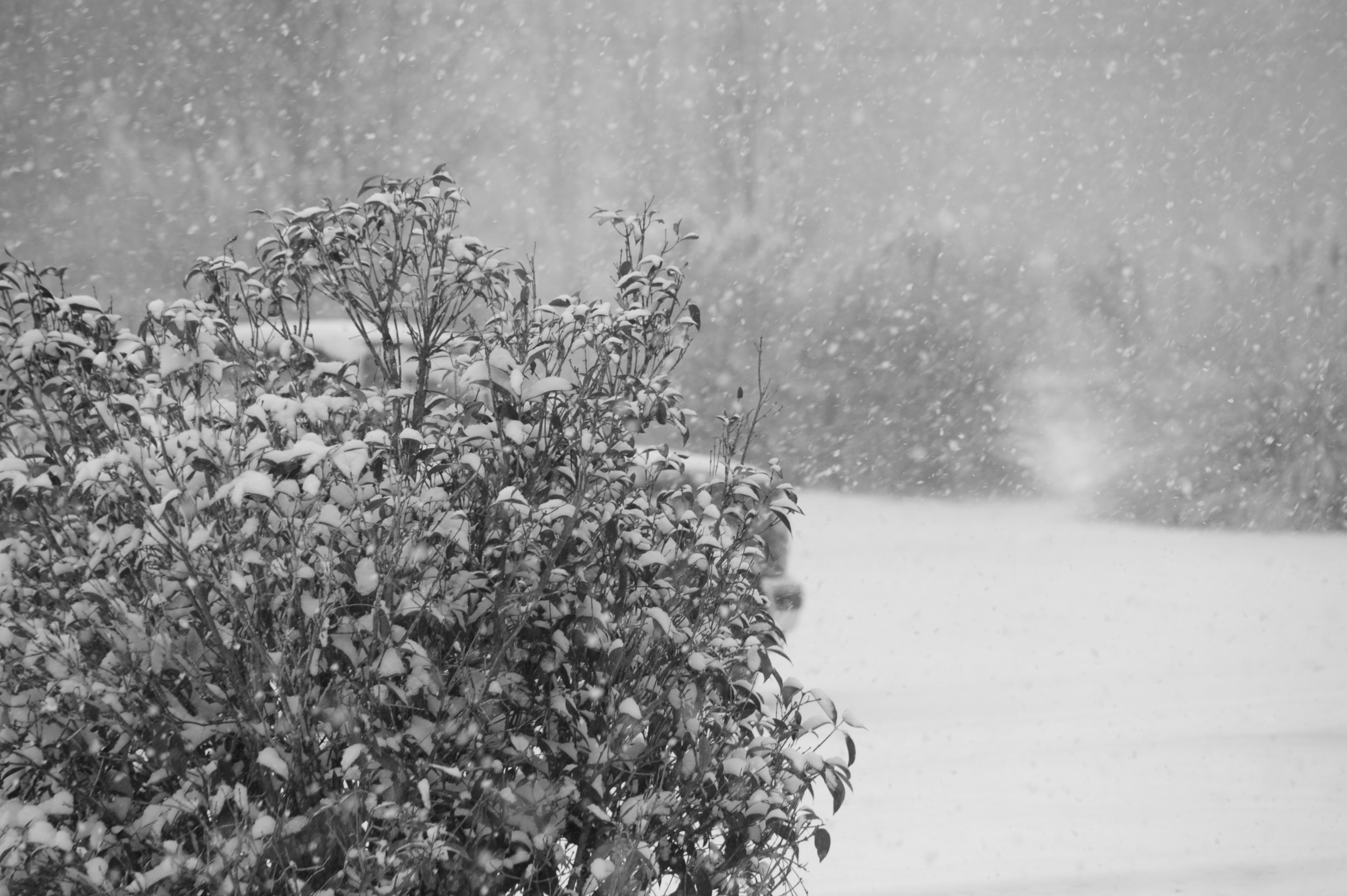 Library - 6 of 19.jpeg